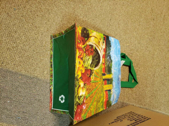 NEW EARTHWISE REUSABLE / COLLAPSIBLE GROCERY SHOPPING BAGS SILO PRINT (QTY 20)