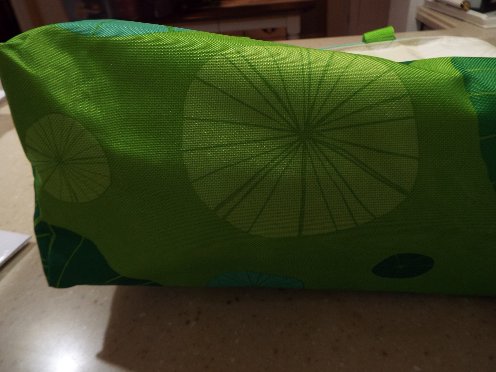 Whole Foods Market Bag Tan Green Aqua Large Canvas Cooler Insulated Bag HTF