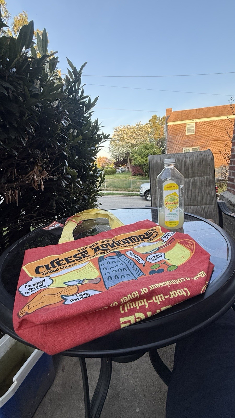 Trader Joe’s Foldable Cheese Adventure Canvas Reusable Bag (ships anywhere)