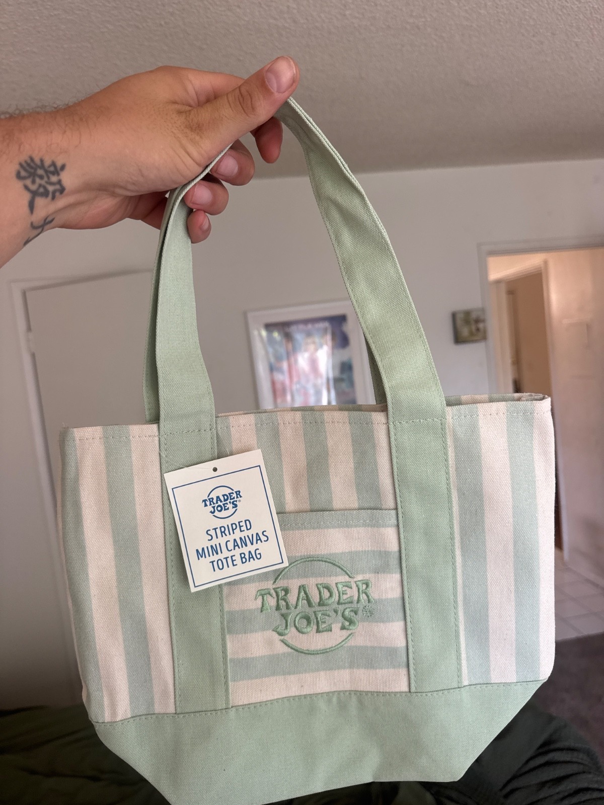 Trader Joe’s Striped Mini Canvas Tote Bag Seafoam Green 2026 Limited Edition