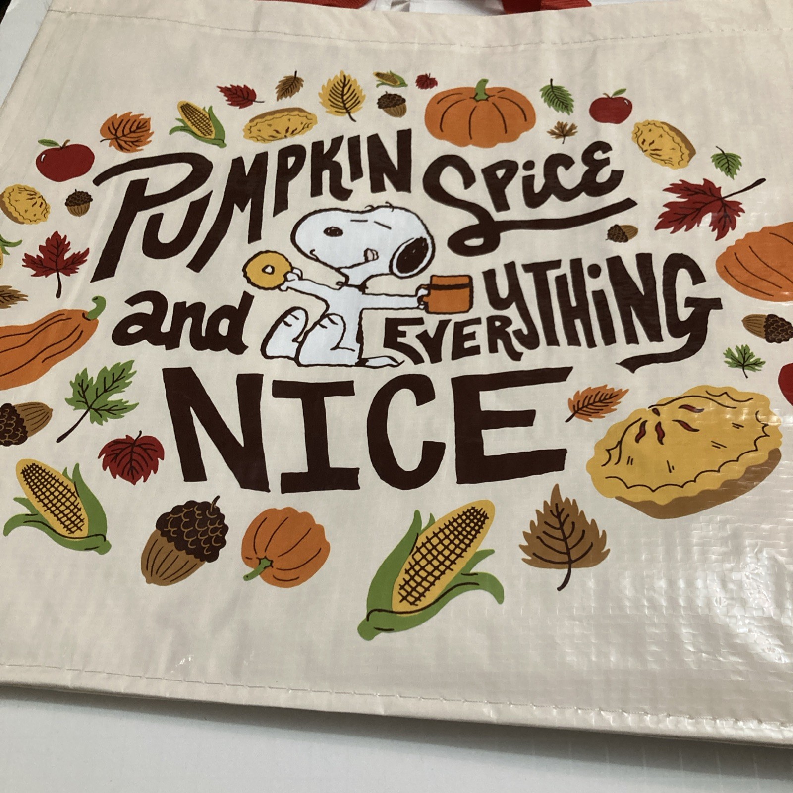 Tesco Fall Snoopy Tote Bag Pumpkin Spice Hibernation Pie Acorn Leaf 2025 Schultz