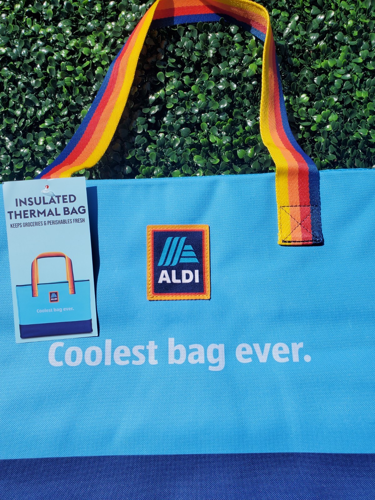 Aldi Large Insulated Freezer Cooler Bag Market Shopper🔵🔴🟡 2026 NEW
