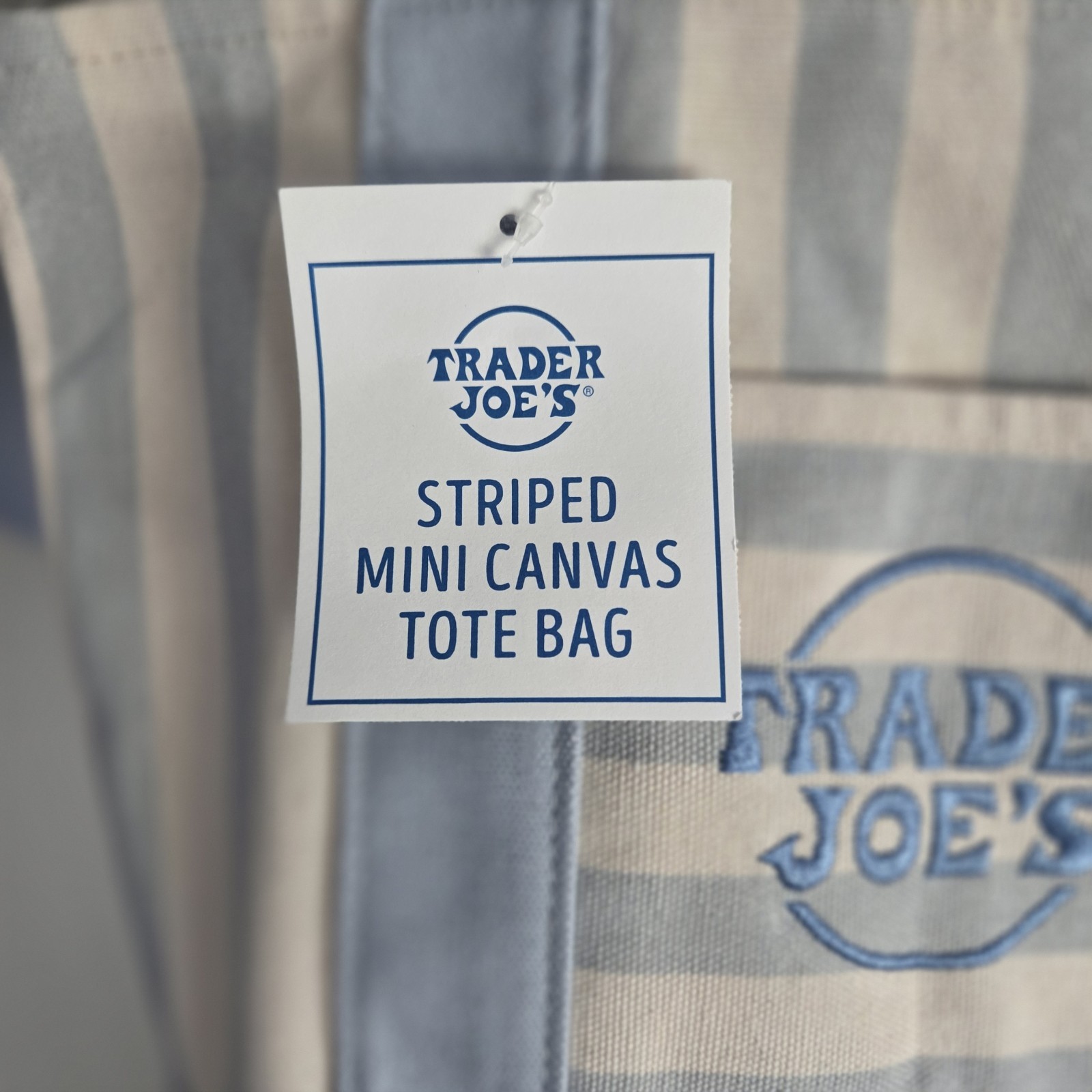 Trader Joe’s Limited Mini Canvas Pastel Striped Tote Bag 2026 Light Blue