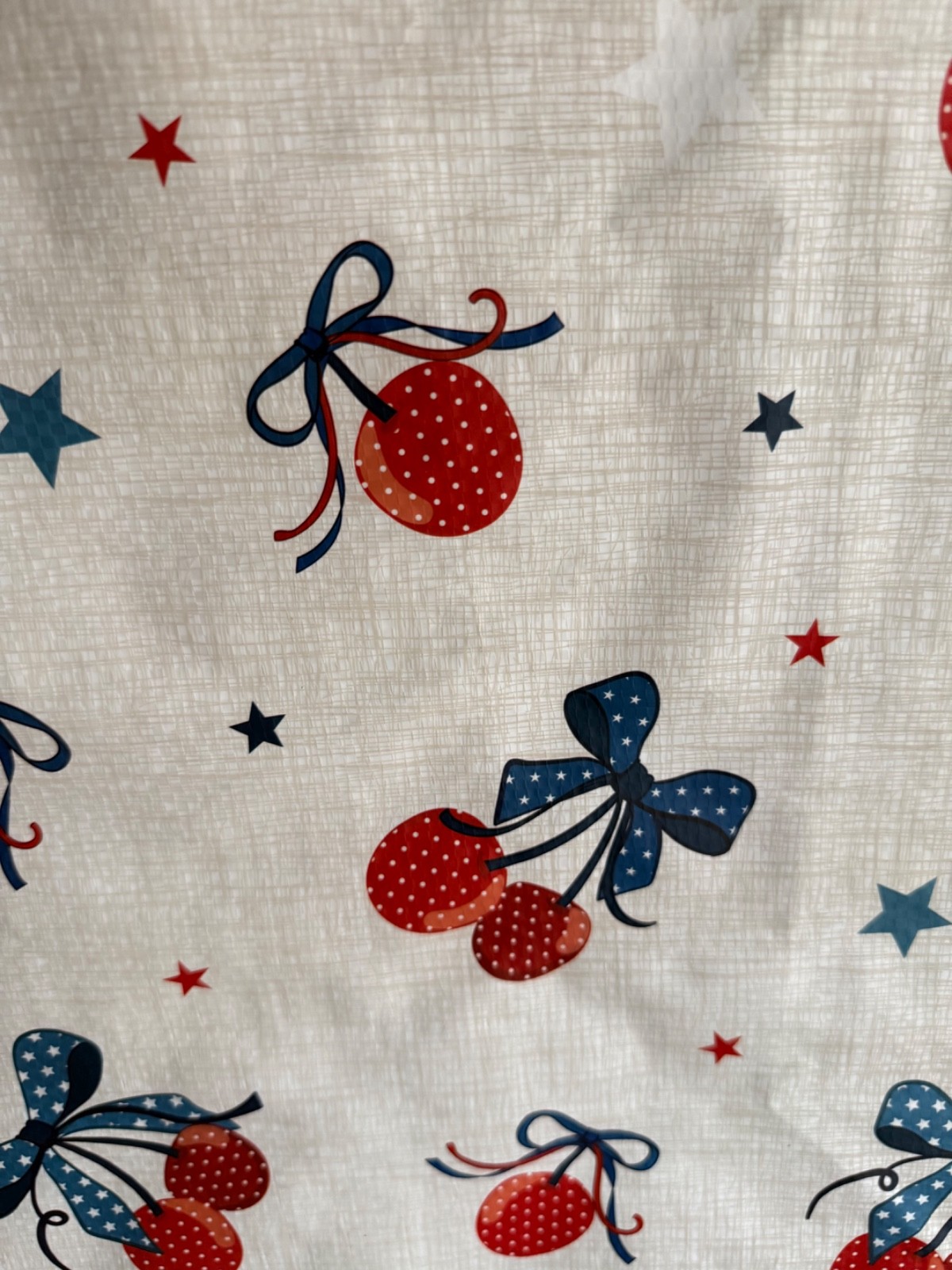 HOMEGOODS REUSABLE LARGE SHOPPING BAG 20″ X 18″ NEW RED WHITE BLUE CHERRY BERRY