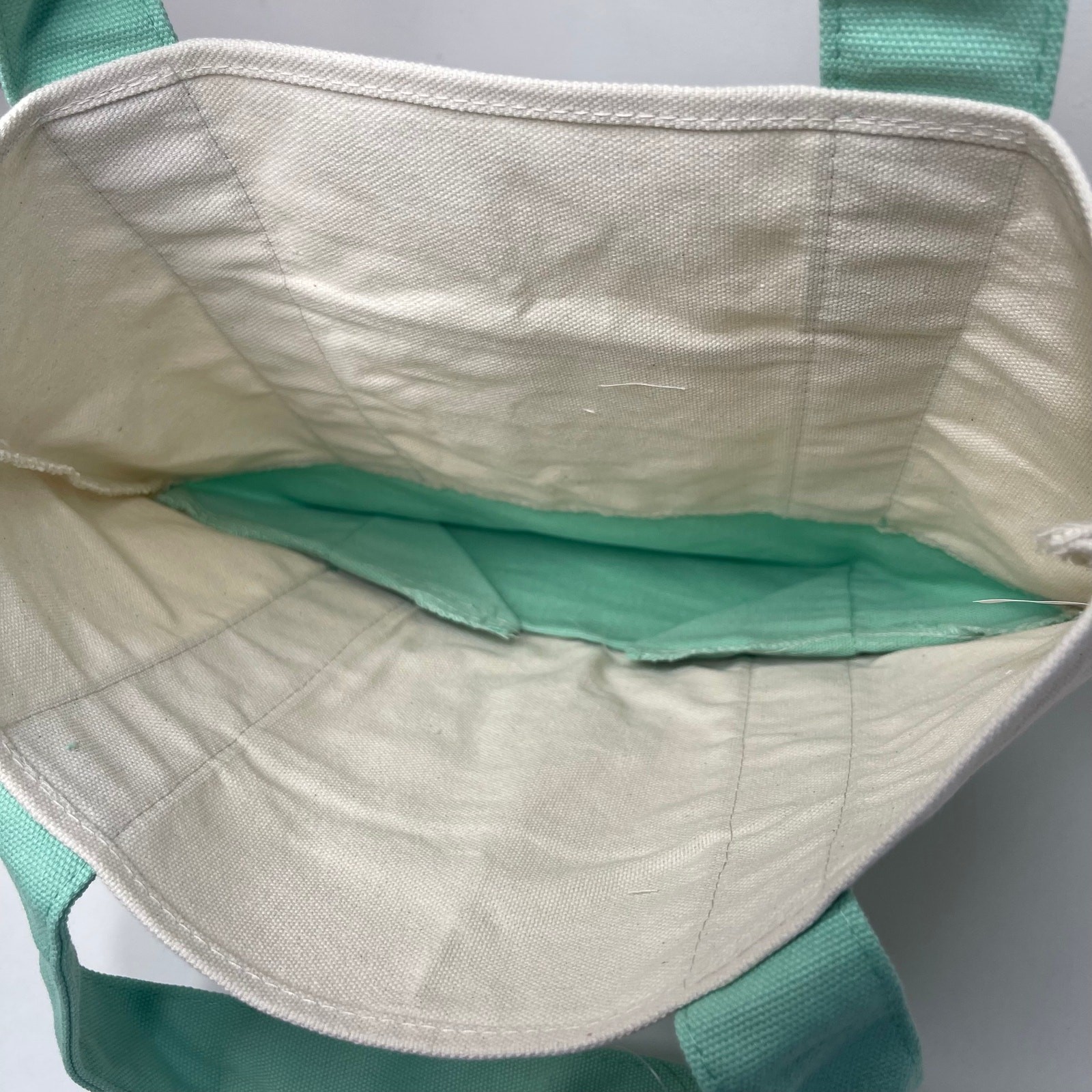 LOT Set of 4 — Trader Joe’s Canvas MINI Tote Bag — Pastel Purple Green Pink Blue
