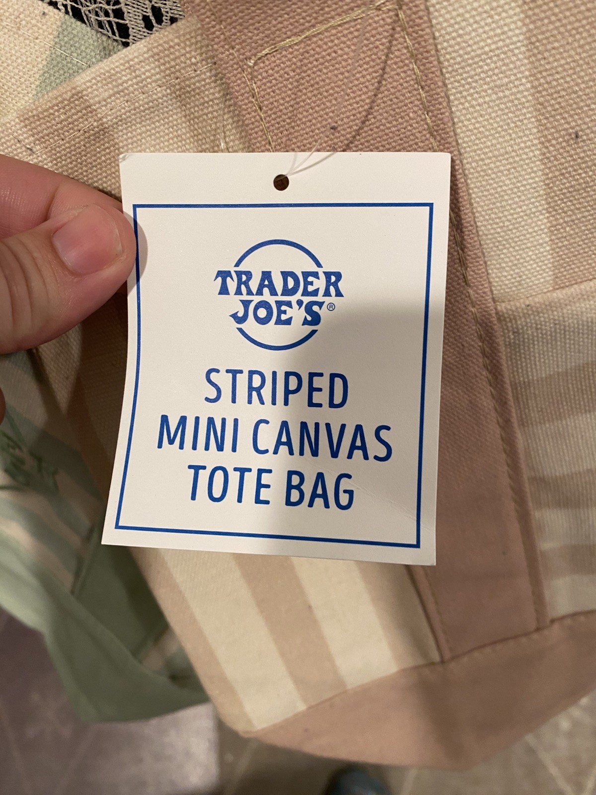 Trader Joe’s Pastel Mini Stripe Tote Bags LOT OF TWO NWT Authentic Green & Beige