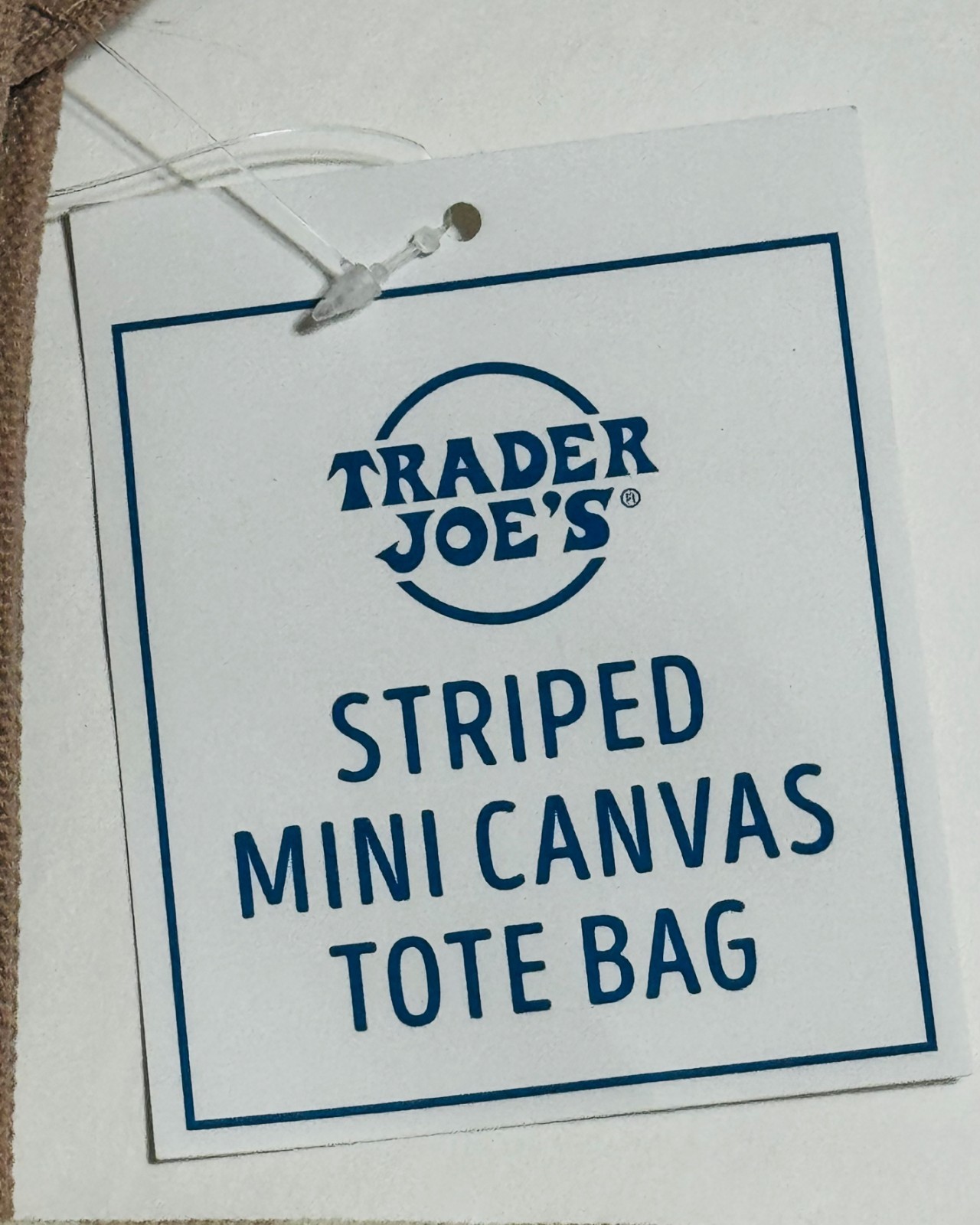 Authentic Trader Joes Mini Pastel Blue Stripe Canvas Tote Bag Limited Edition