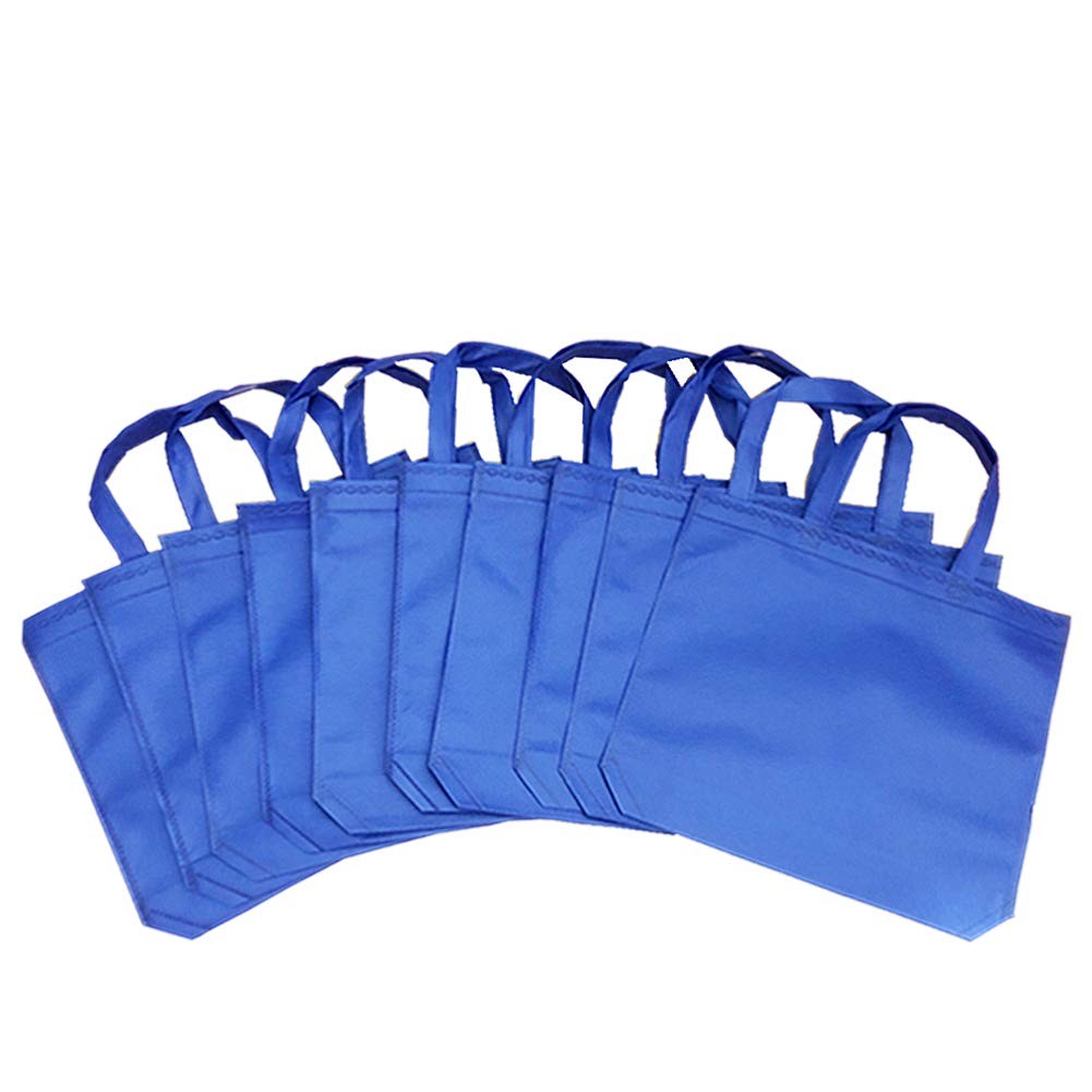HoYuanFlo 10PCS Reusable Tote Bags Travel To-Go Kicthen Dining Medium, Blue