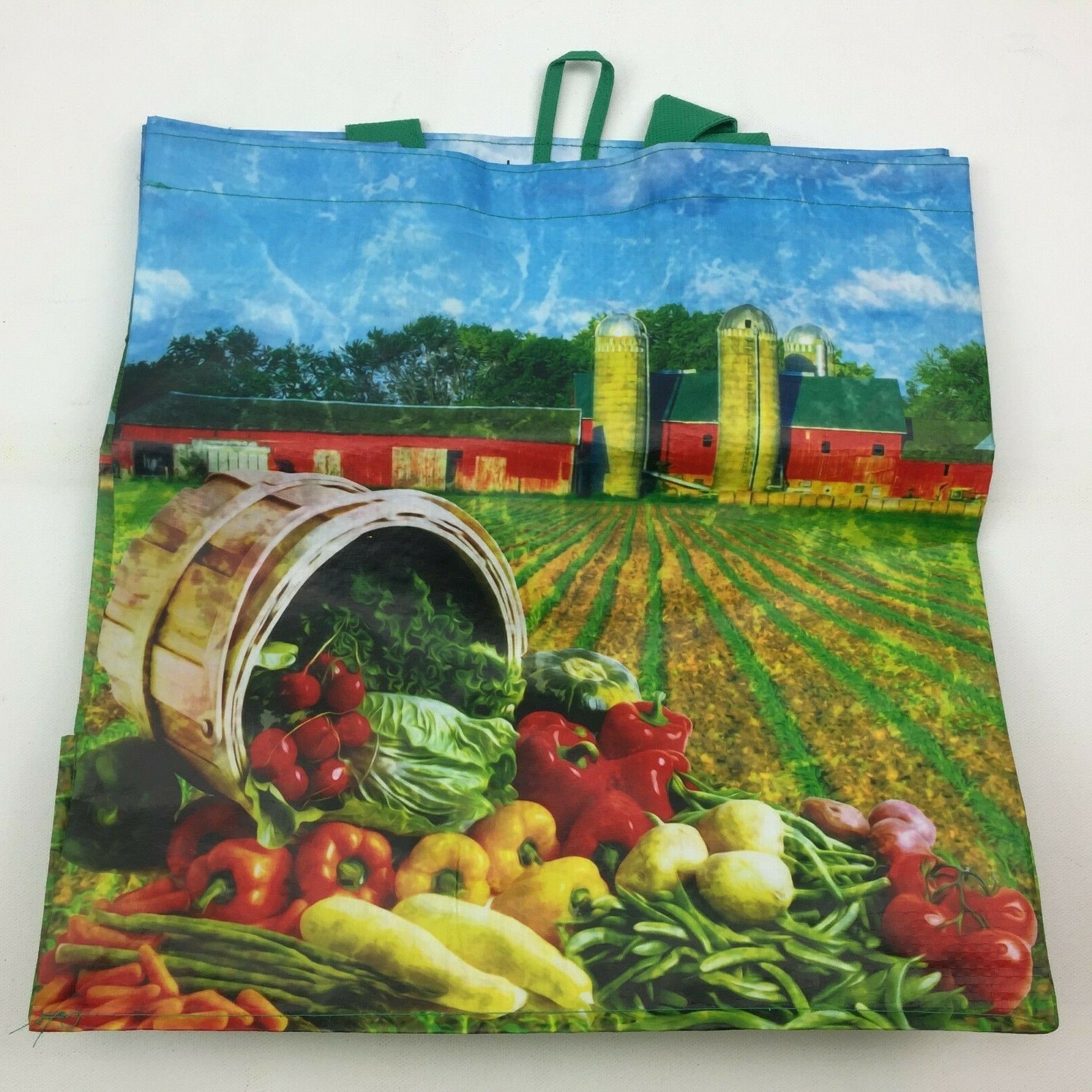 Be Wise Earthwise Reusable Grocery Shopping Bag Large 8.5″x13.5″ Produce Recycle