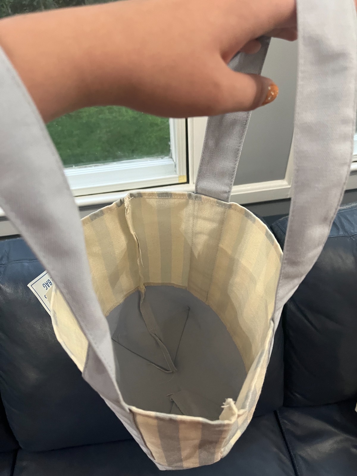 trader joe’s pastel striped mini tote bags 2 pack!!!! blue and green!!!