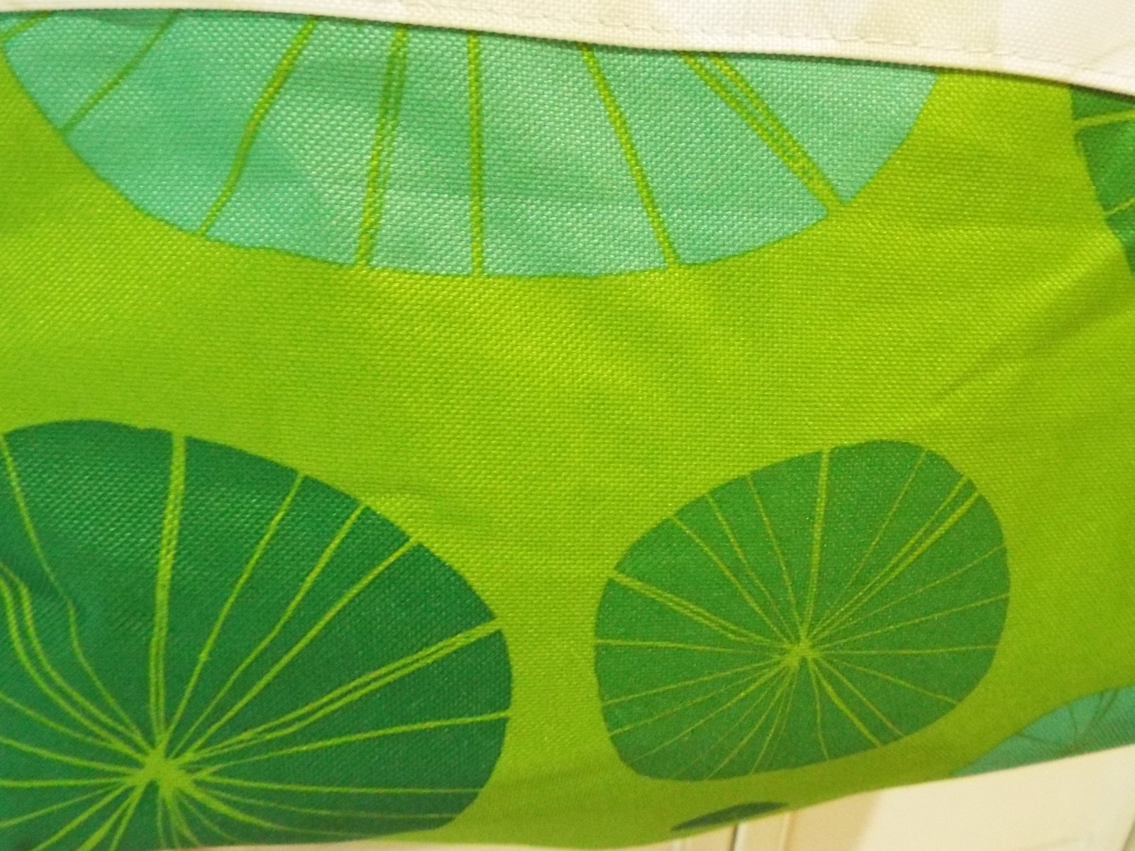 Whole Foods Market Bag Tan Green Aqua Large Canvas Cooler Insulated Bag HTF