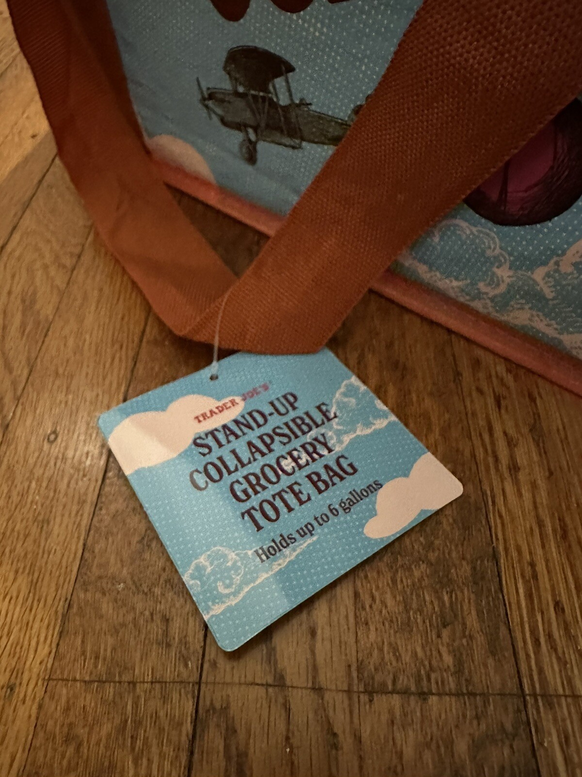 Trader Joe’s Stand-Up Collapsible Grocery Tote Bag Limited 6 Gal Limited Edition