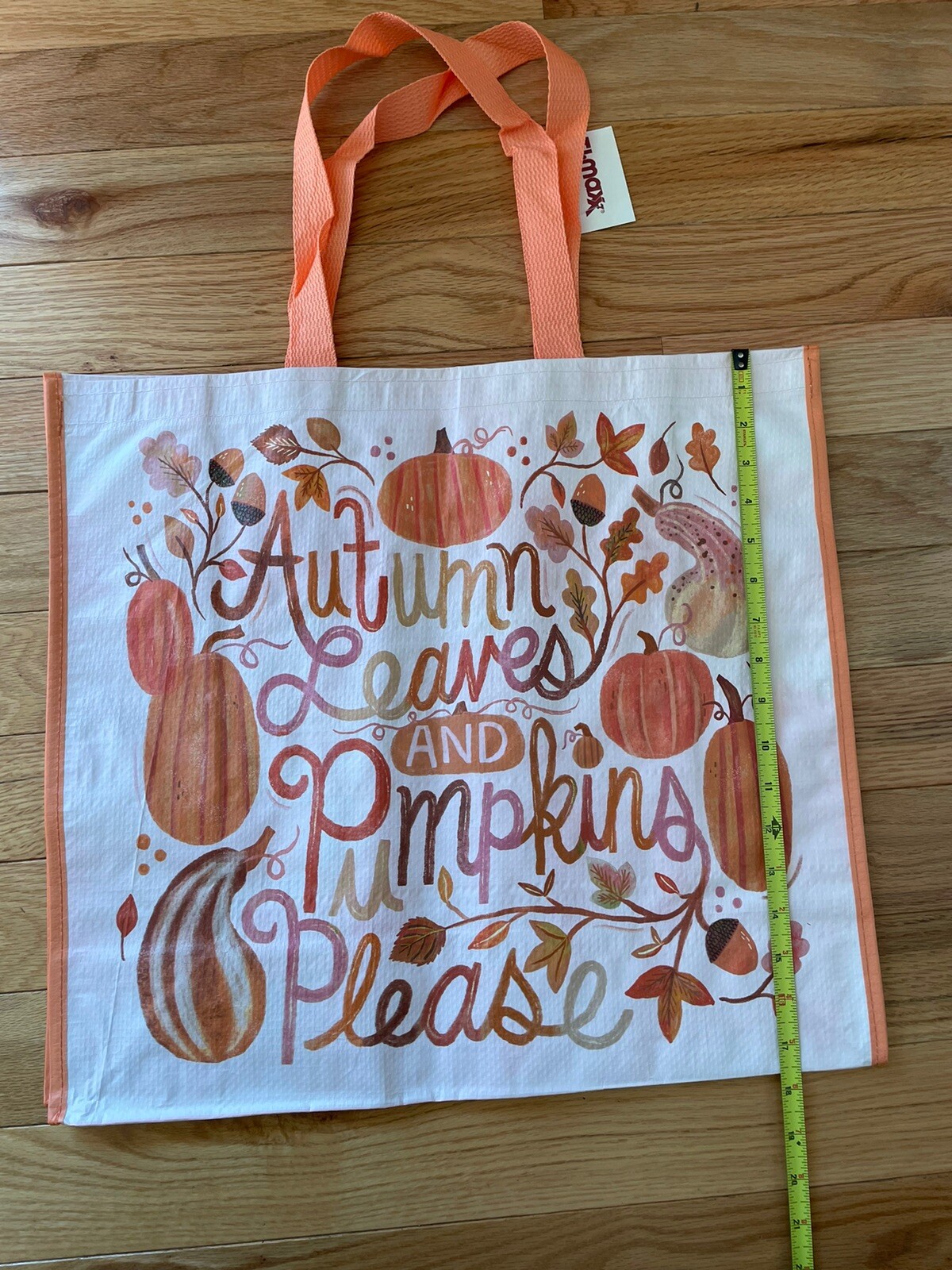 New TJ Maxx Shopping Gift Bag Big Tote Autumn Pumpkins Leaves Acorns Pink