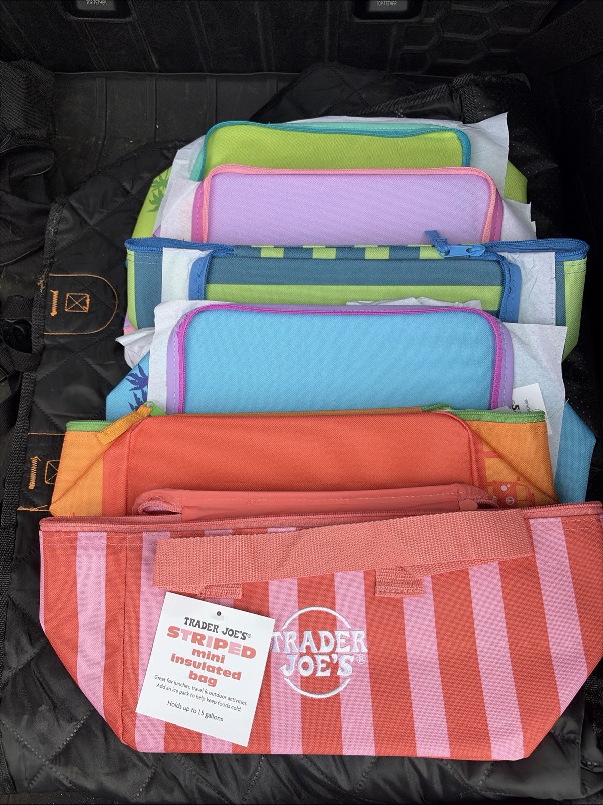 Trader Joes mini insulated bags New Summer Colors 6 Pack! Lot 1