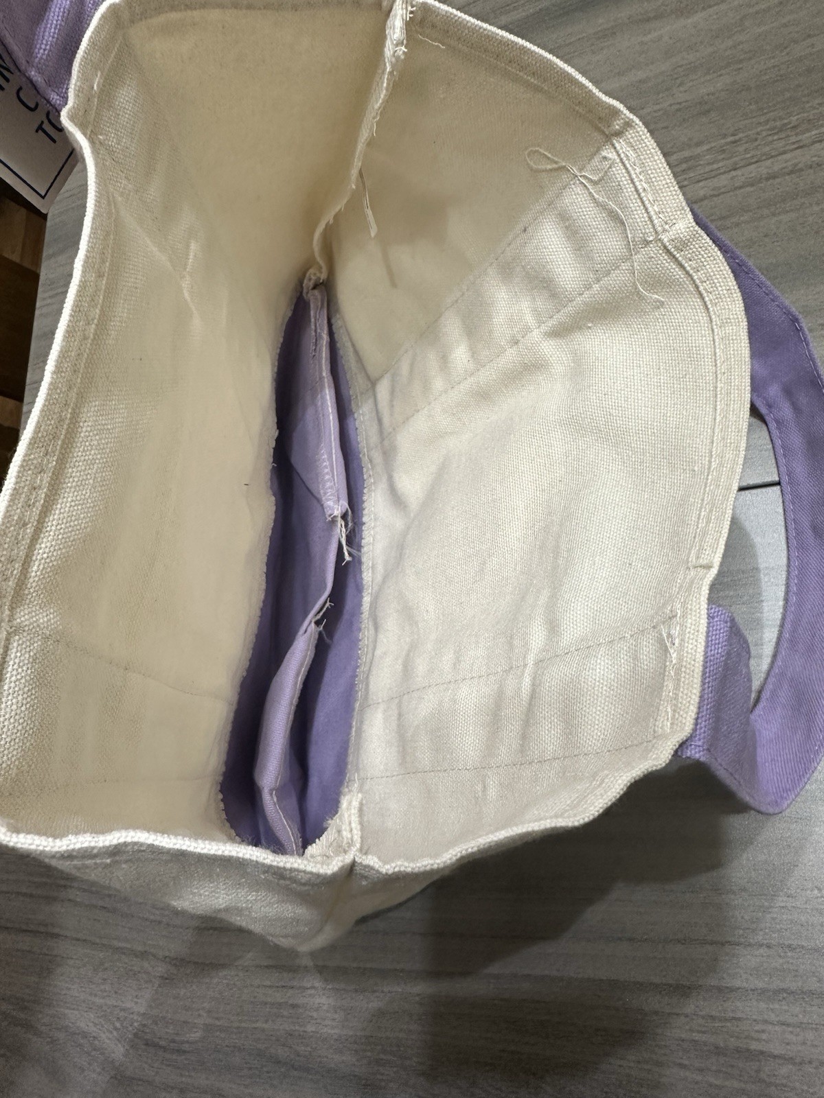 Trader Joe’s Mini Pastel Canvas Tote Bag Small Foldable Purple Beige Reusable