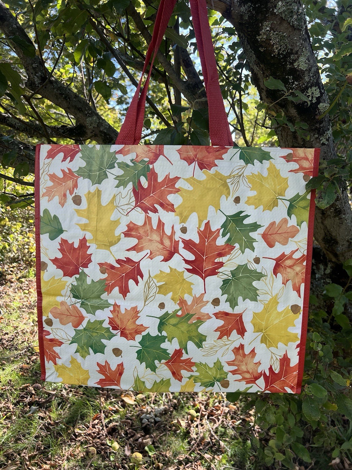 🍁FALL 🍁🍁Reusable Tote Bag ~ 20″ X 18″ X 8″ ~ FALL LEAVES by HOMEGOODS