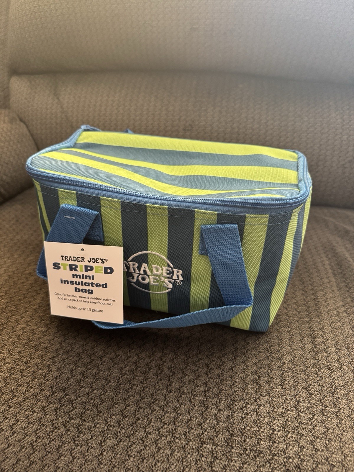 Trader Joe’s Mini Insulated Bag Blue & Green Stripes