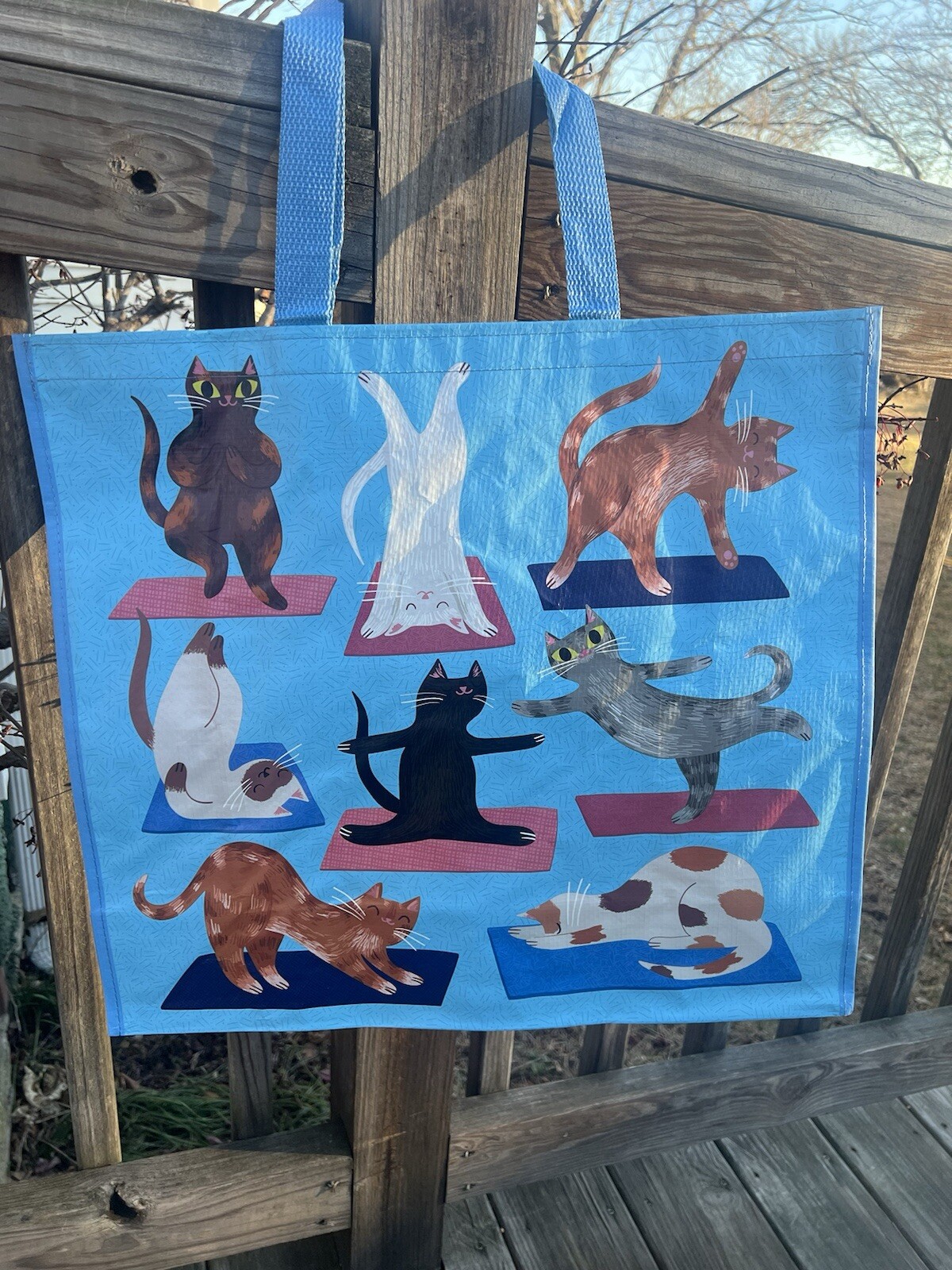 NEW TJX Shopping Bag HAPPY 😊 DANCING CATS Reusable Tote Bag