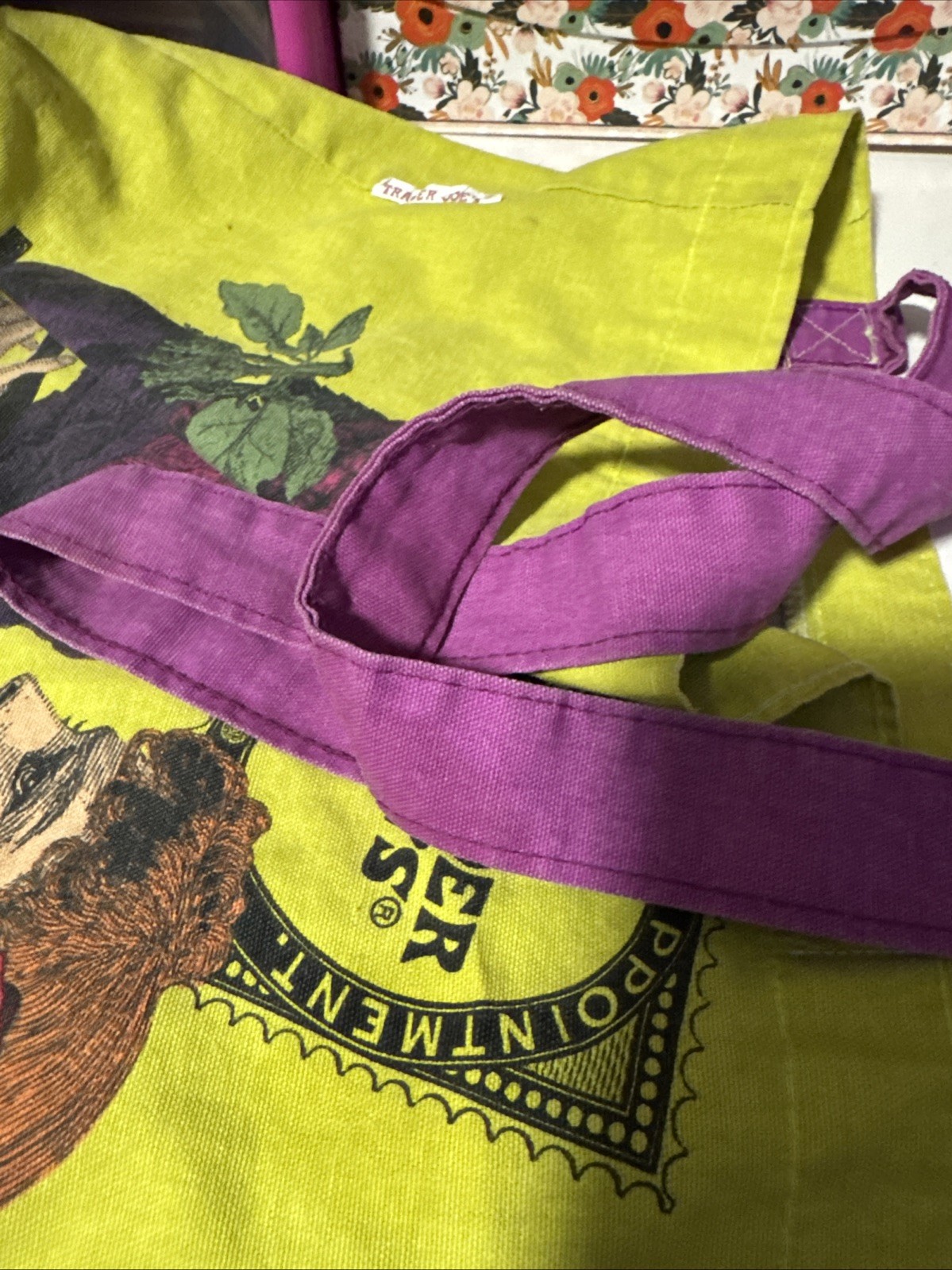 Trader Joe’s By Special Appointment Green Tote Reusable Bag Woman Fruit USA
