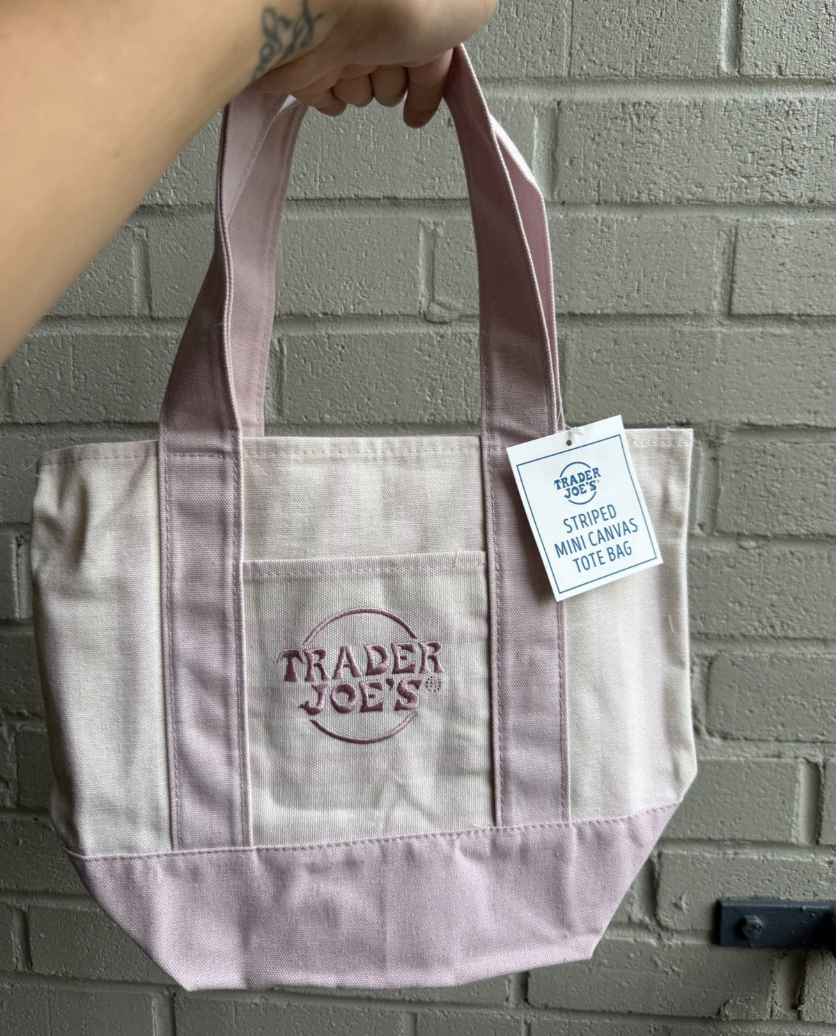 Trader Joe’s Striped Mini Canvas Tote Bag, Reusable, Machine Washable (24) totes