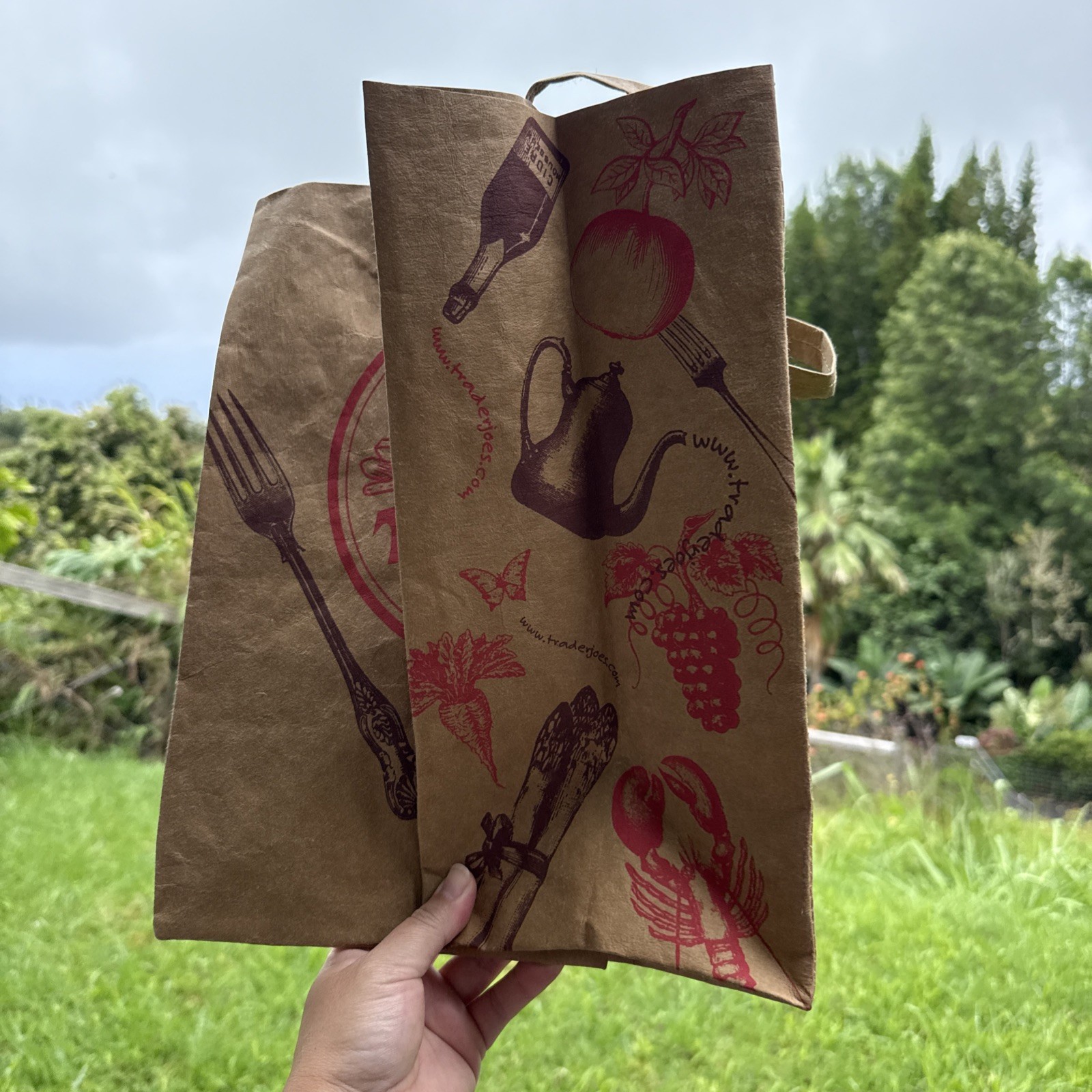 Trader Joe’s Washable Paper Reusable Shopping Bag Brown Medium Foldable Red