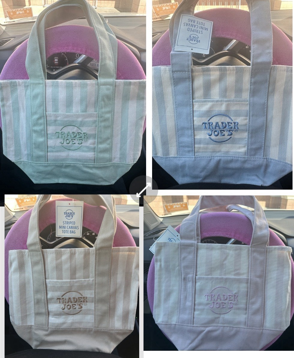 TRADER JOE’S MINI PASTEL STRIPE CANVAS TOTE BAGS SET Of 4 PINK BLUE GREEN BEIGE