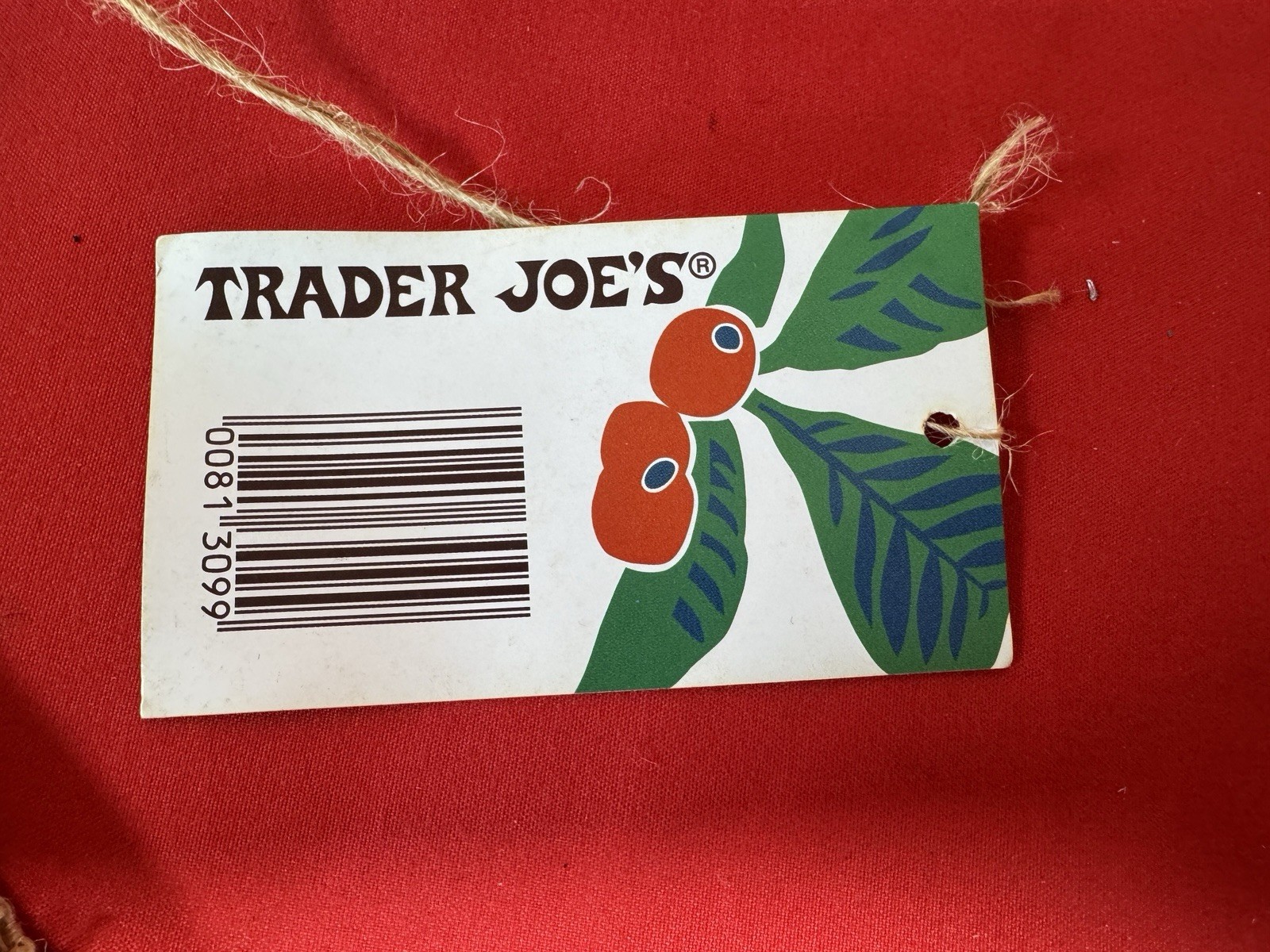 Trader Joe’s Large 8 Gal Insulated Cooler Bag PURPLE RAIN (Lavender) NWT