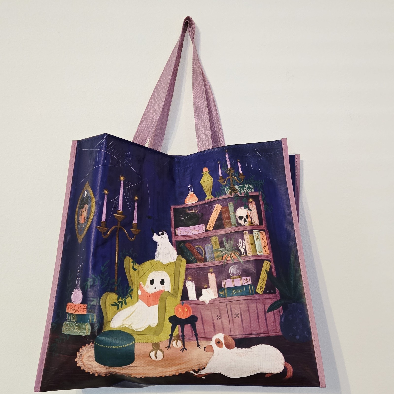 Halloween Oddities Ghosts Dog Library Office Books Spells Bag New T.J. TJMaxx