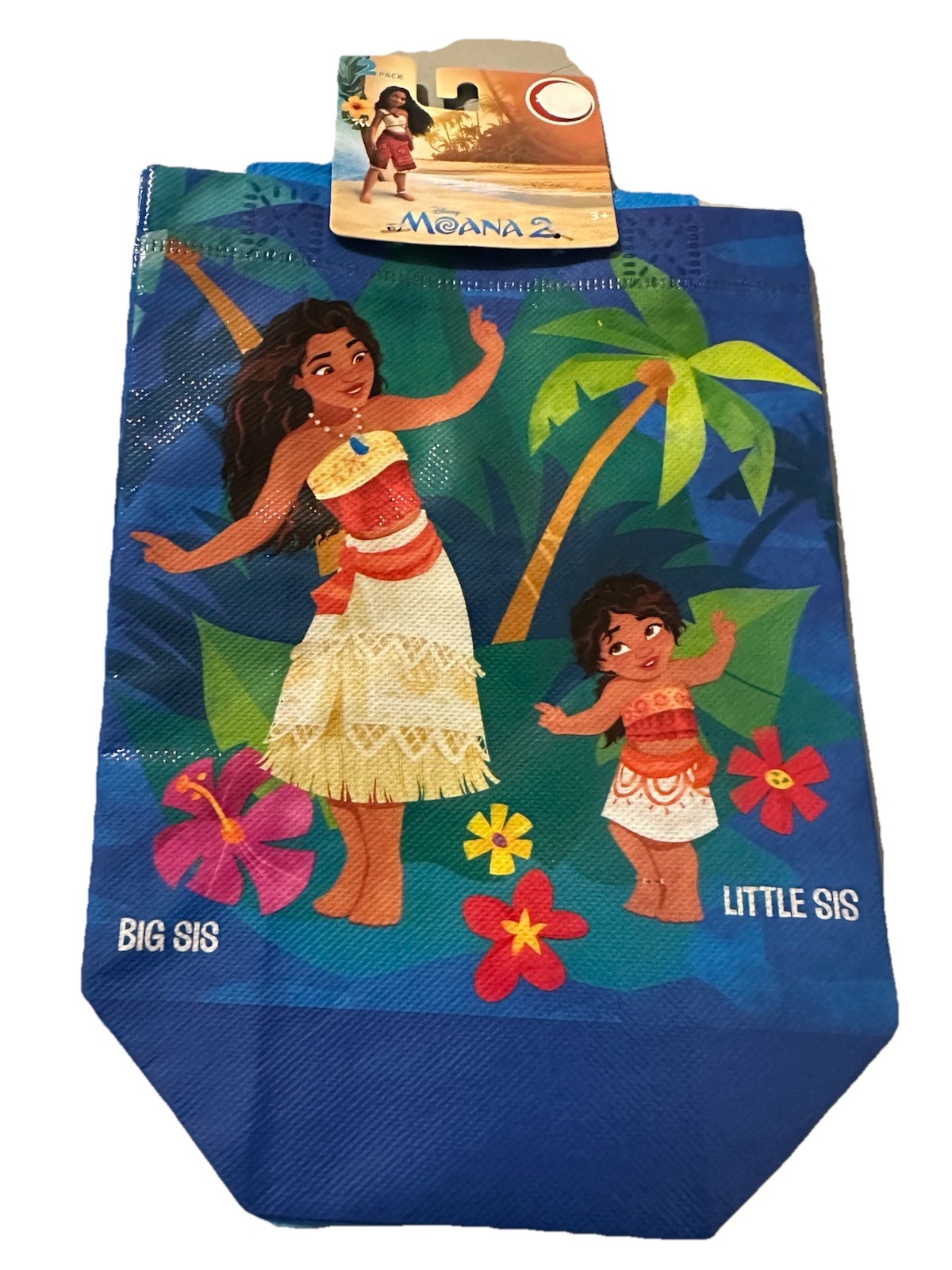 2 Pack Disney Moana Littre Sis 7x8x3.5 Inch Bags Kids Character Party W/Handles