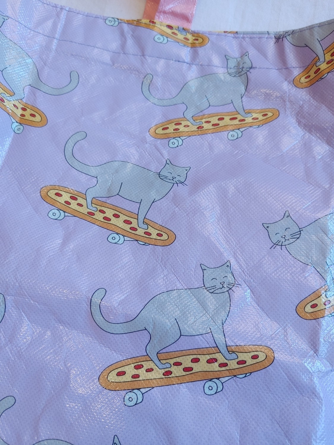 Cat Riding Pizza Skateboard FOREVER 21 Shopping Bag Pink Reusable Polypropylene
