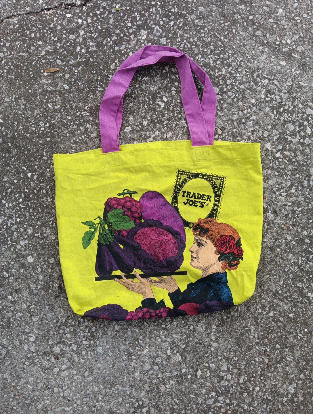 Trader Joe’s By Special Appointment Green Tote Reusable Bag Woman Fruit USA