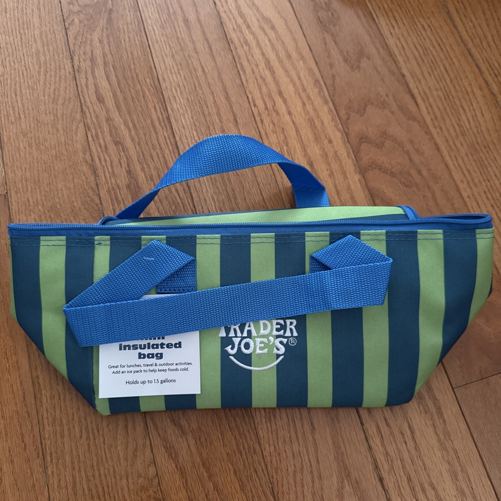Trader Joe’s HOT BLUE & GREEN STRIPES Mini Insulated Summer 2026 Tote 1.5 Gal