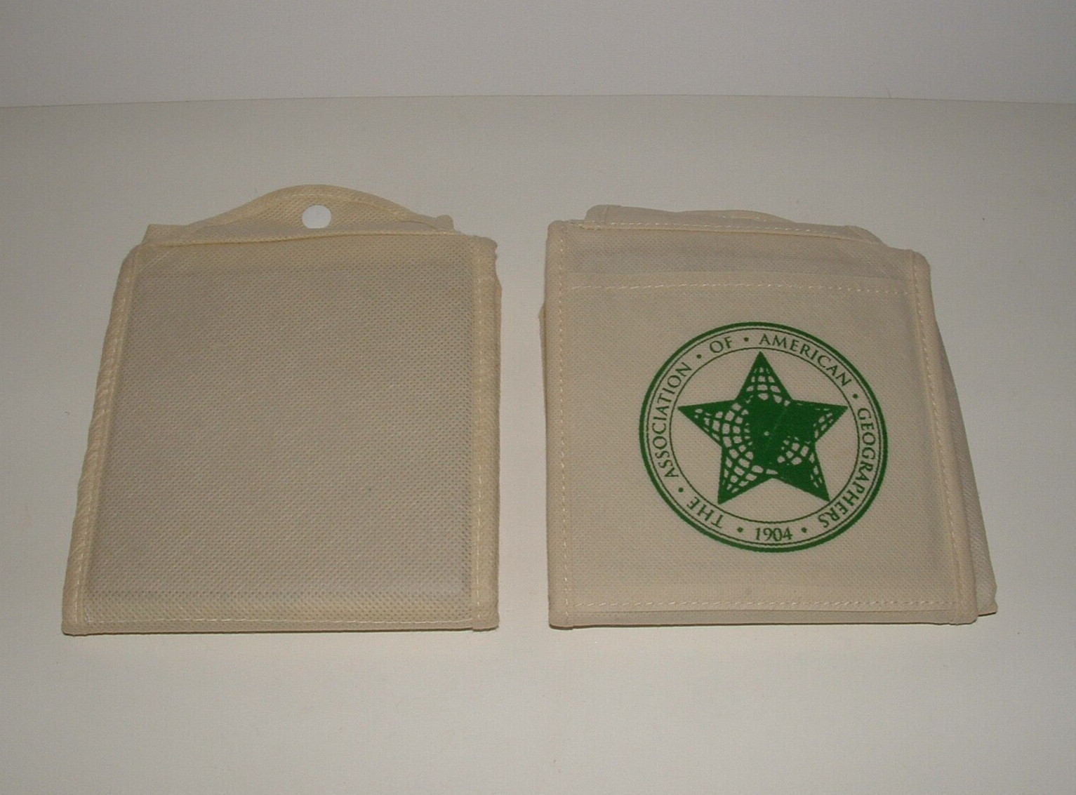 Folding Tote Bag (2), Snap Opens Main Tote, Geographers Design, pre-owned