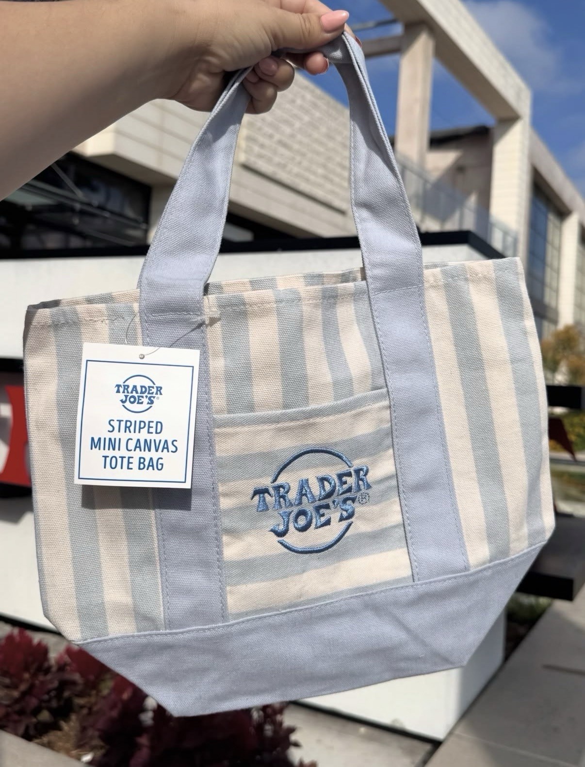Trader Joe’s Mini Pastel Stripe Canvas Tote Bag Limited Edition Set Of 4 NWT