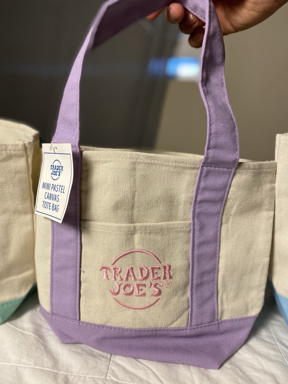 Trader Joe’s Mini Pastel Canvas Foldable Small Tote Bag Set of 4 Multicolor