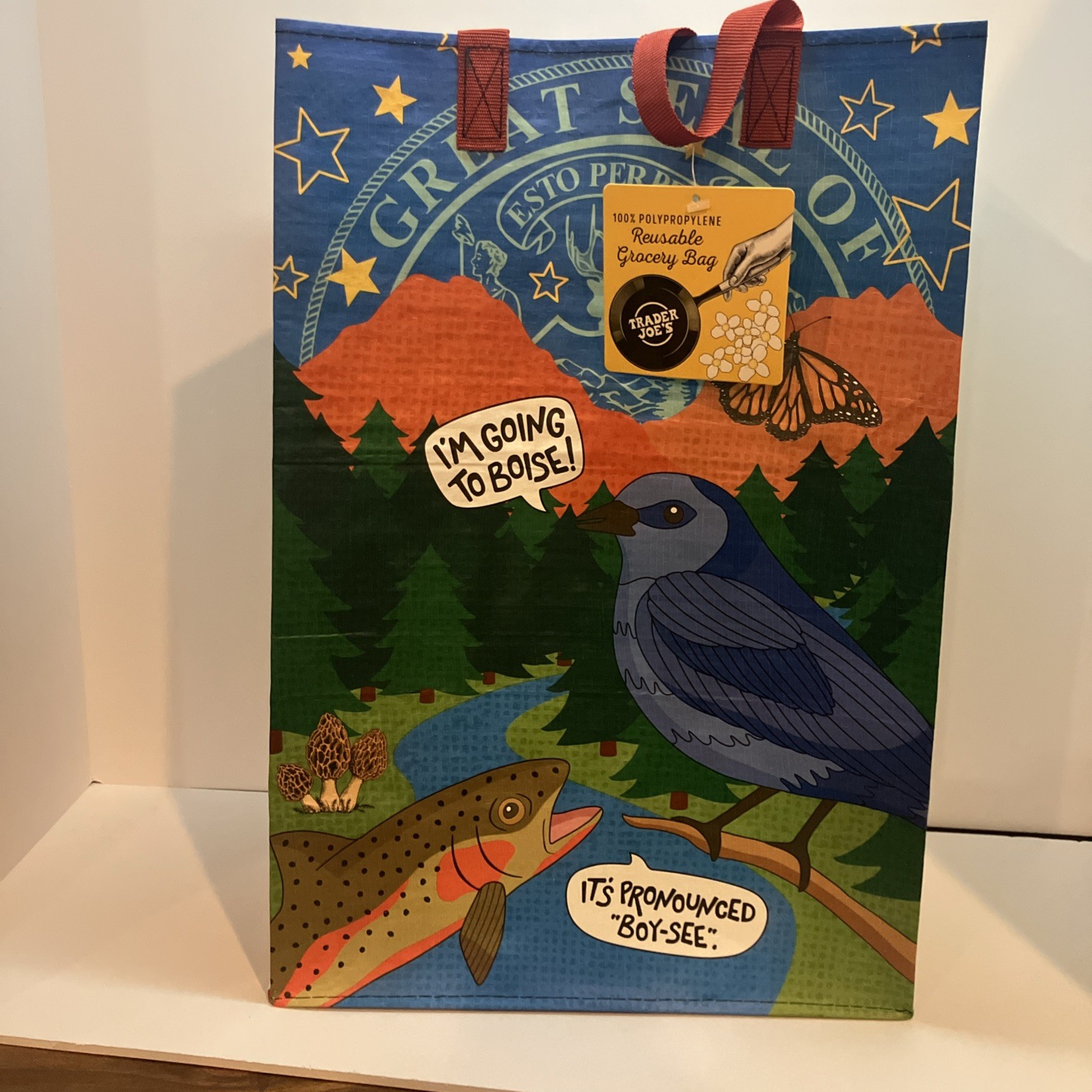 Trader Joe’s Mystery Bag 2024 Idaho NWT. Never used. Beautiful bag