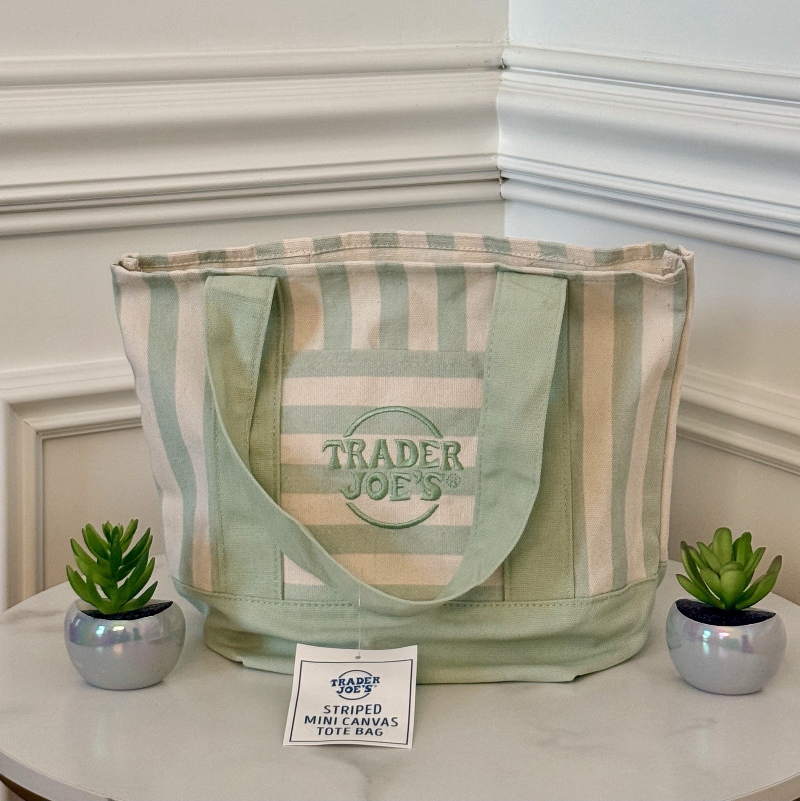 💚 Trader Joe’s Seafoam Green Striped Mini Canvas Tote Bag NWT 🚚 FAST SHIP!