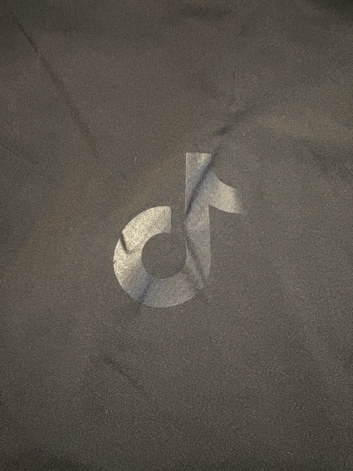 TikTok Branded Chico Bag Reusable Shopping Bag