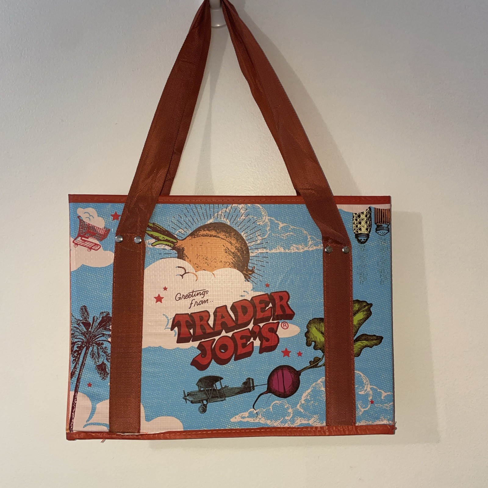 Trader Joe’s Insulated Grocery Bag Blue Sky Travel Design Reusable Tote 2025