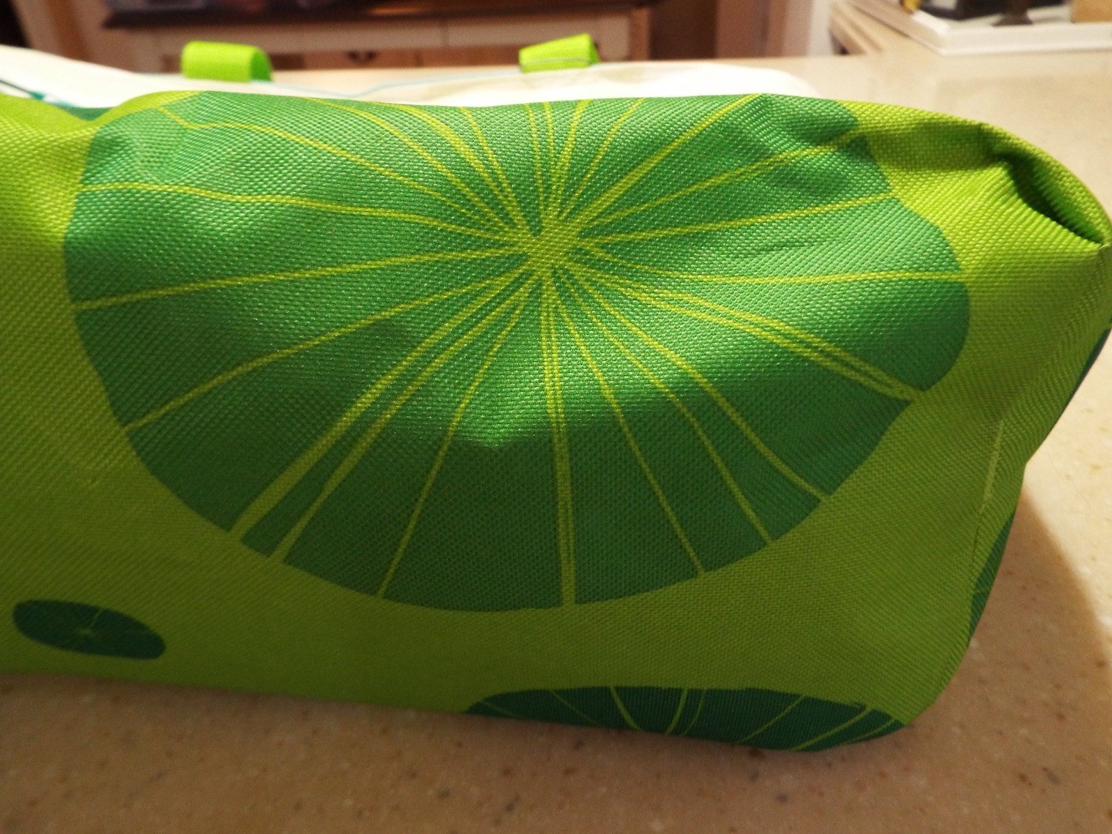 Whole Foods Market Bag Tan Green Aqua Large Canvas Cooler Insulated Bag HTF
