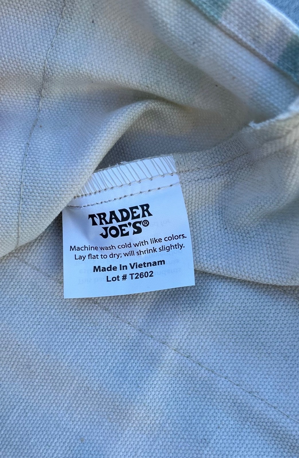 Trader Joe’s mint green/seafoam green mini tote bag