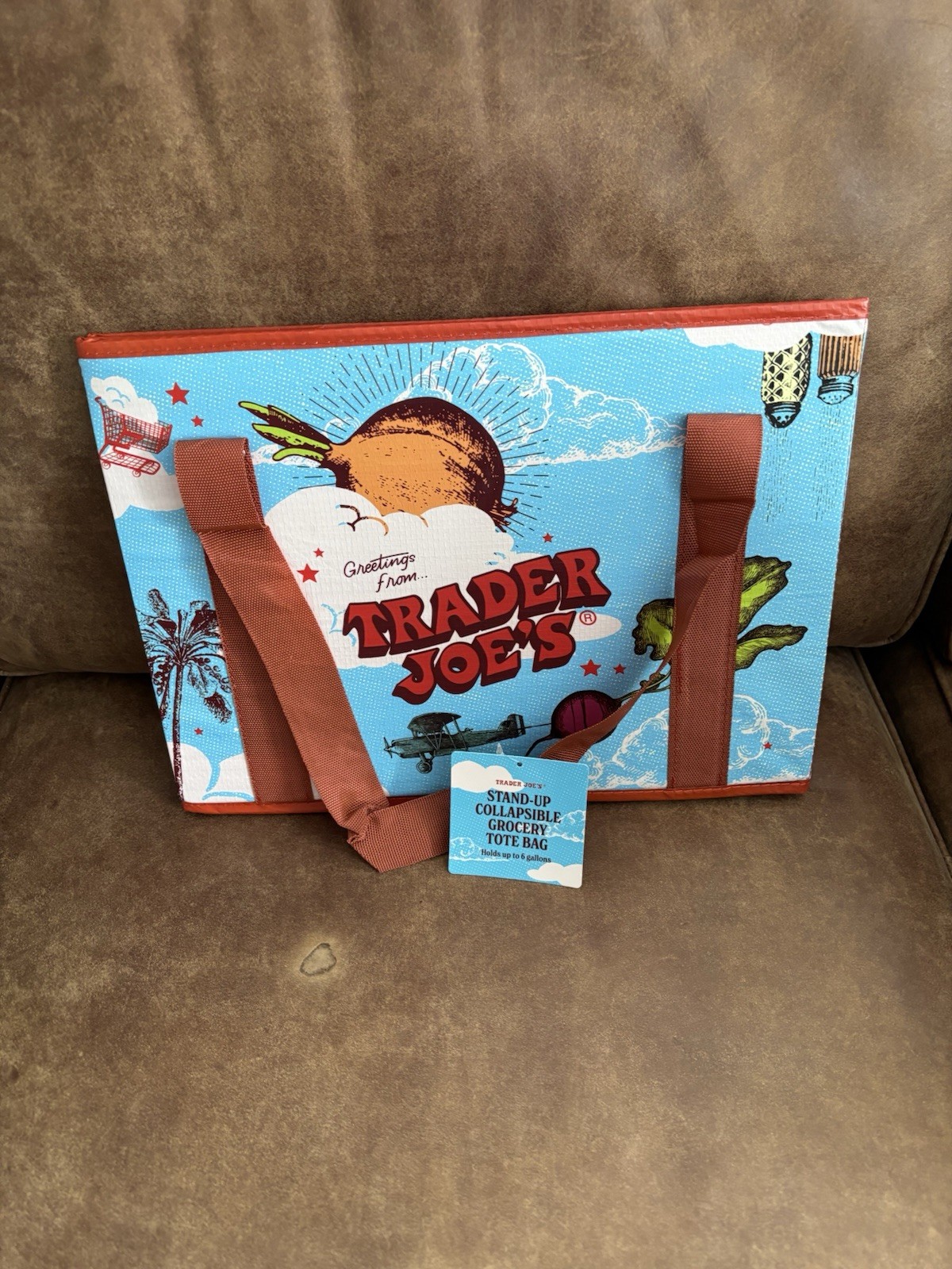 Trader Joe’s Stand Up Collapsible Reusable Tote Shopping Bag