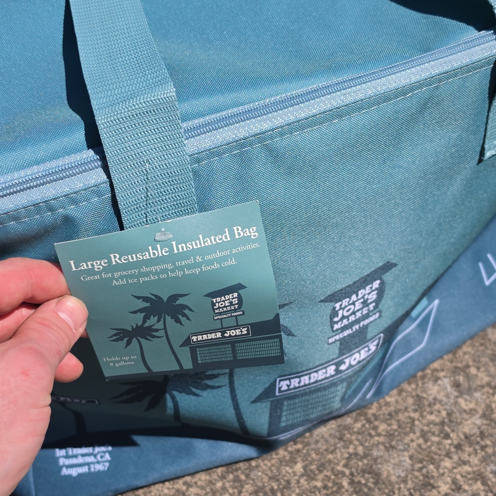 Trader Joe’s Large Reusable Insulated Shopping Bag Zippered Tote Blue 8 Gal