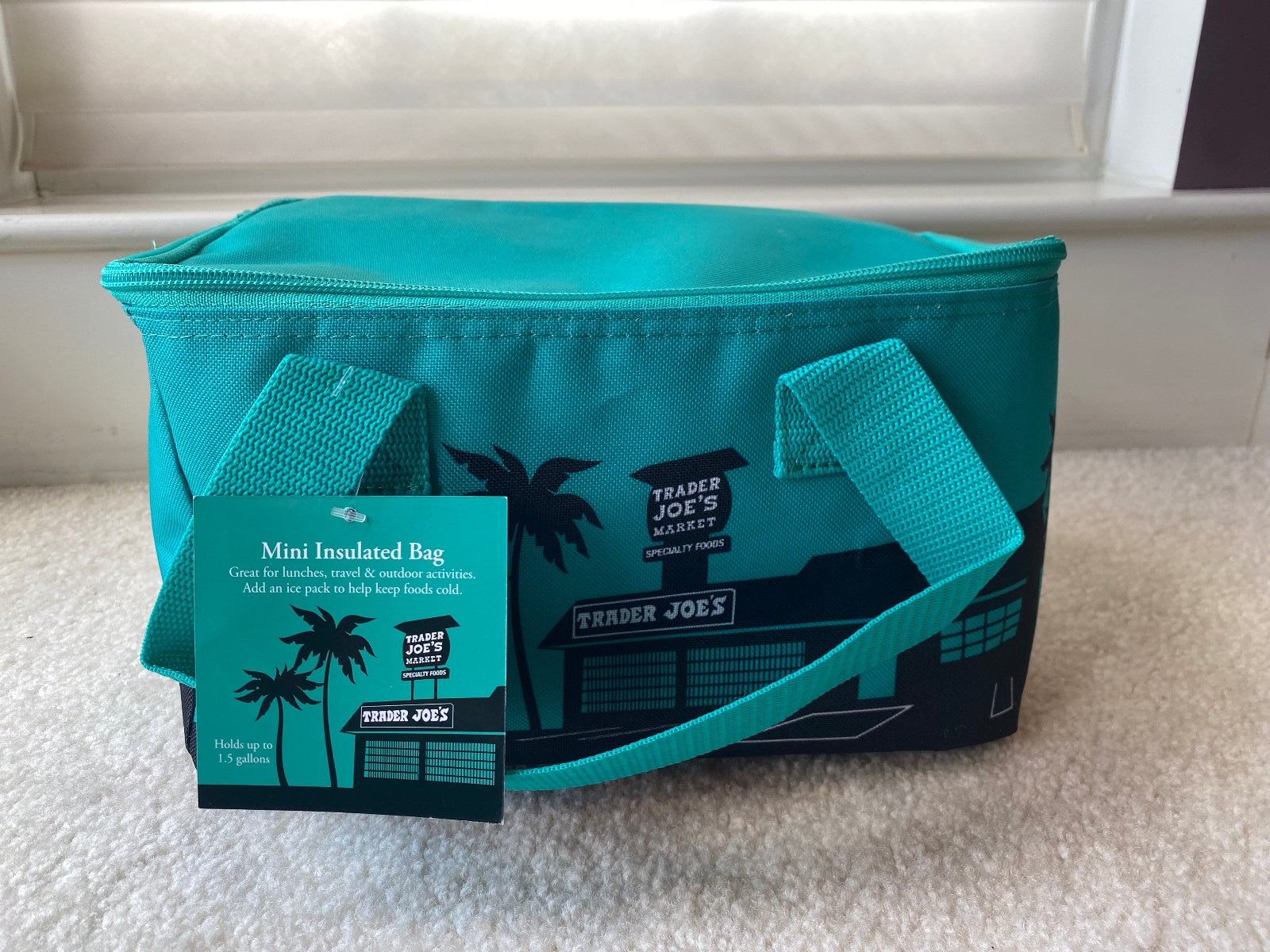 Trader Joe’s Pastel Canvas Totes (2) & Insulated Bag (1) – 3 bags total.