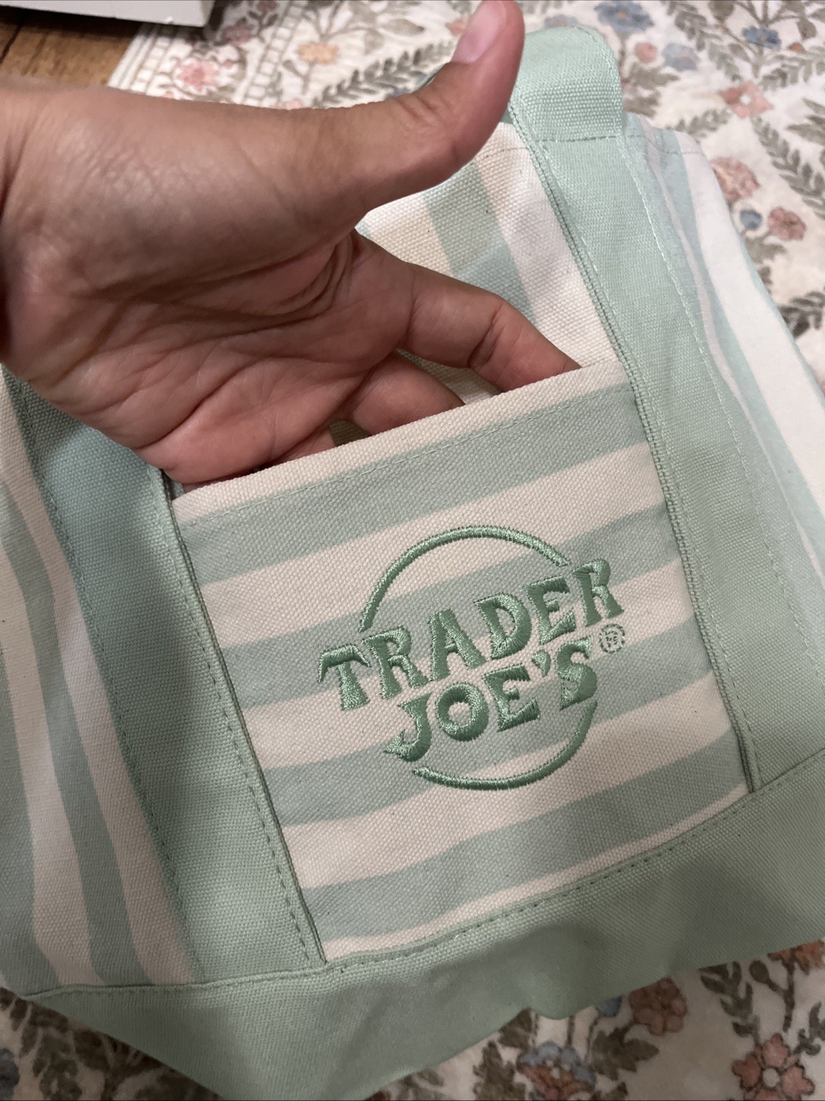 Trader Joe’s Striped Mini Canvas Tote Bag Green/Beige 13x11x6
