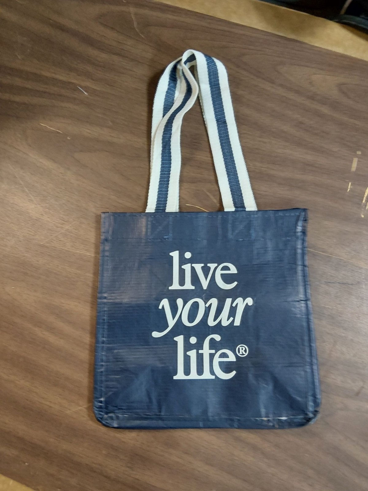 American Eagle Reusable Shopping Bag Small Dark Blue With White Striped Handles
