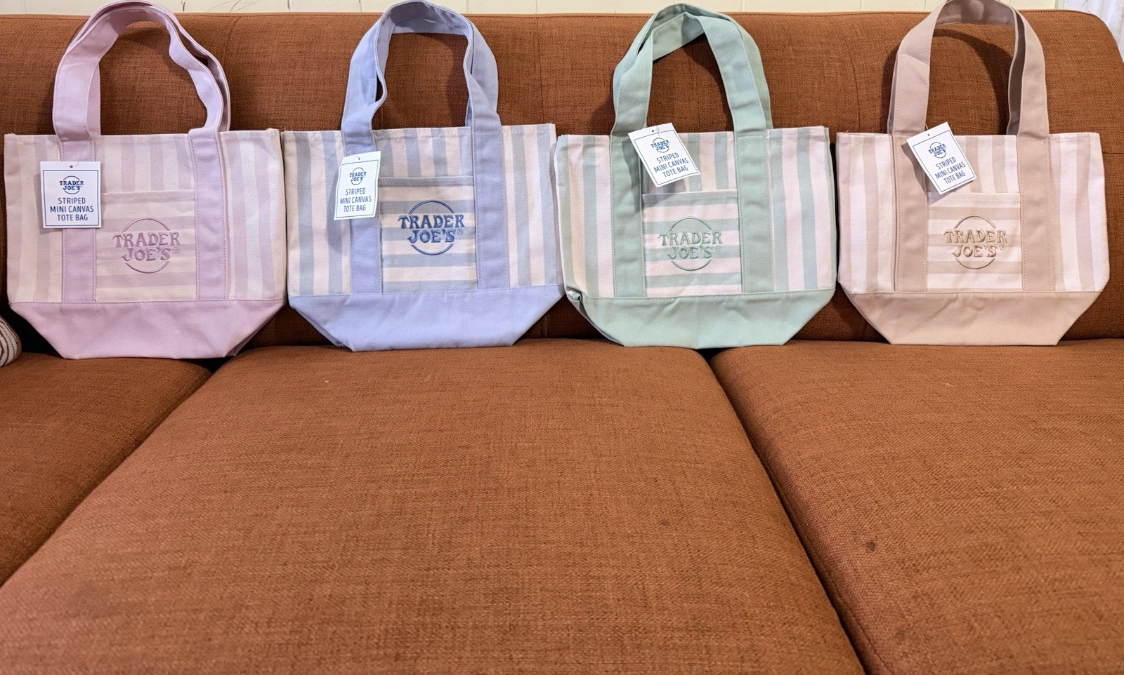 NEW Trader Joe’s Mini Canvas Tote Bag Striped Multicolor 13x11x6 in RARE TOTE