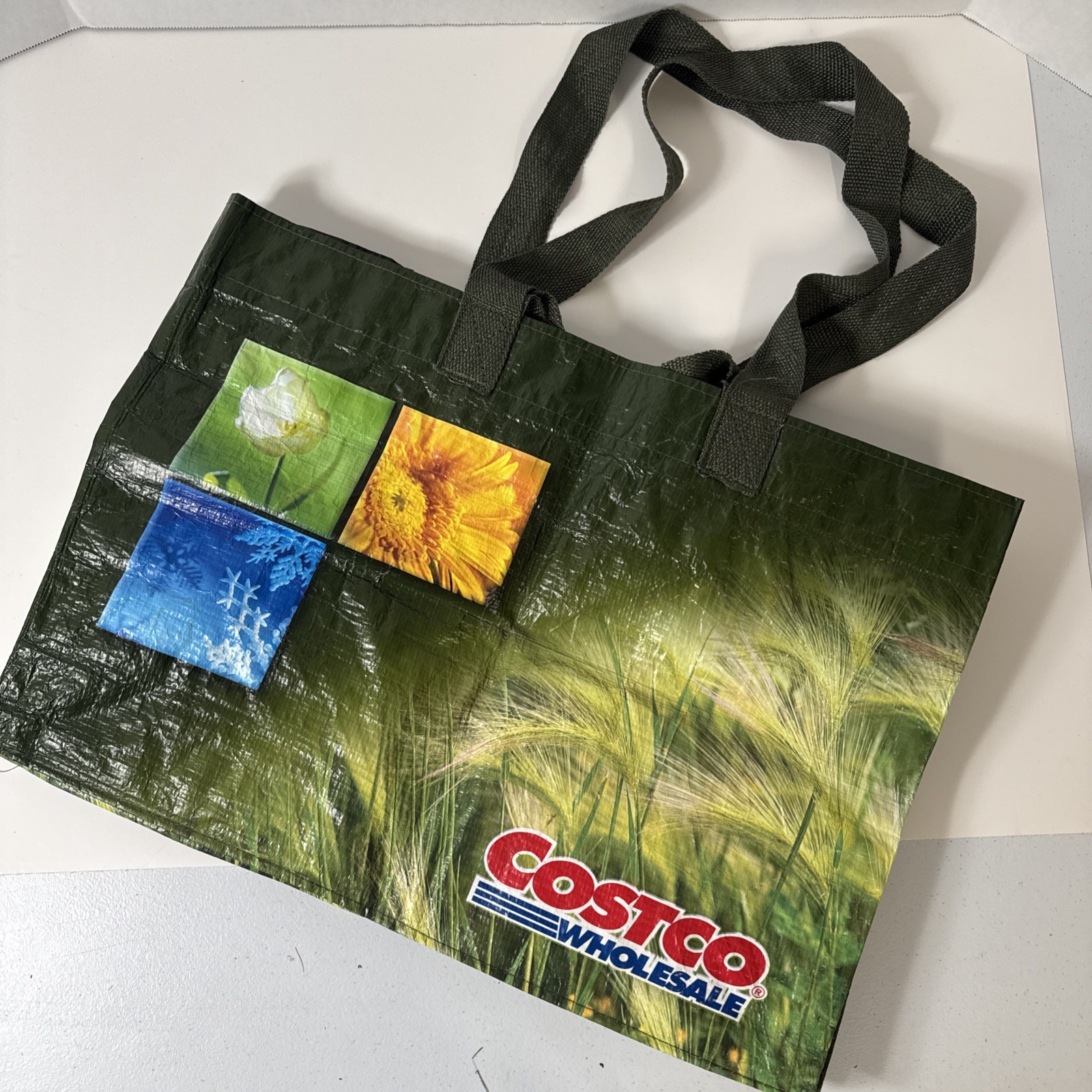Vintage Costco Wholesale Reusable Tote Bag Green Member Warehouse Kirkland VTG