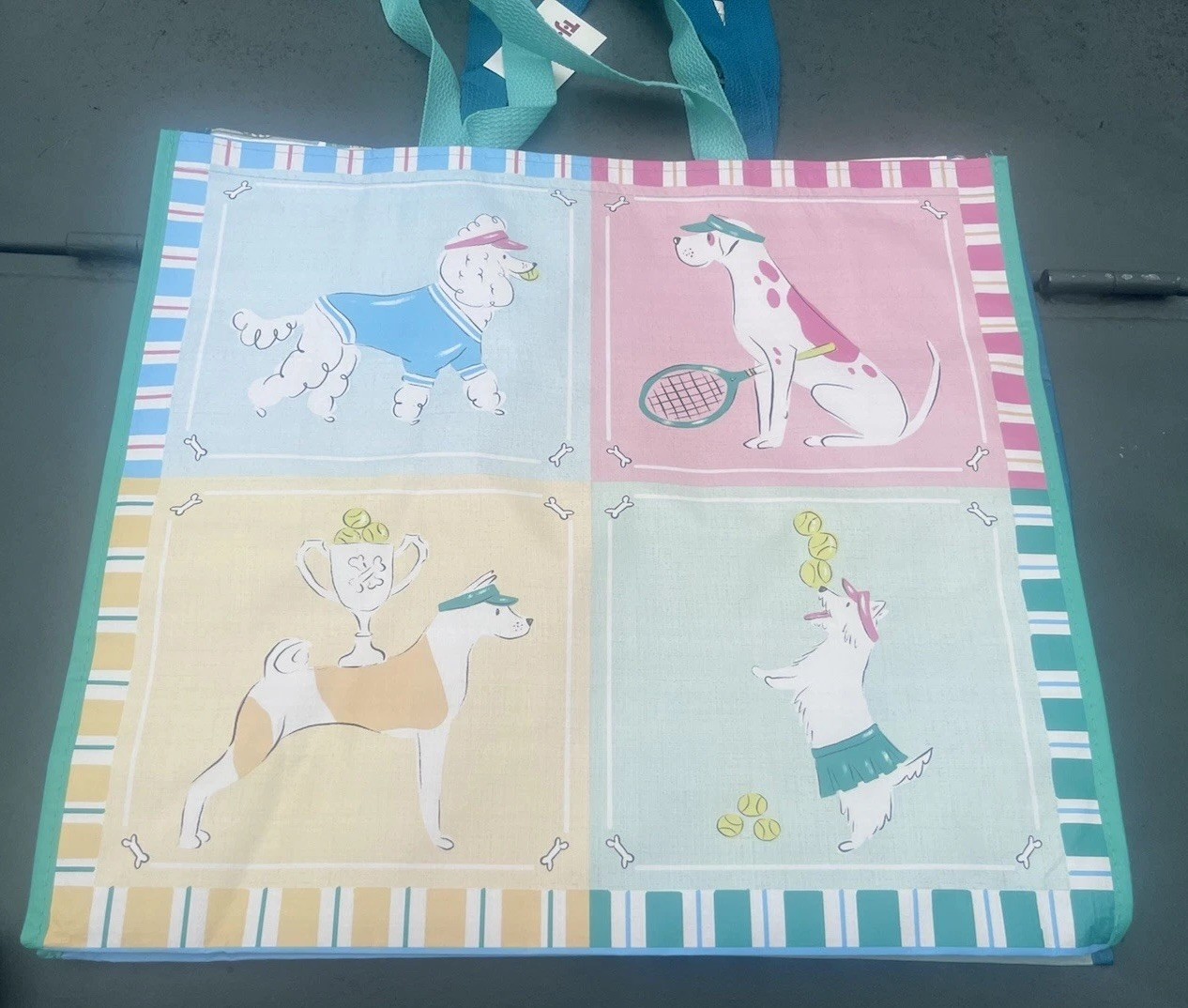 New Lot Of Two TJ MAXX REUSABLE SHOPPING TRAVEL Beach TOTE BAGS Dog And Seedbag