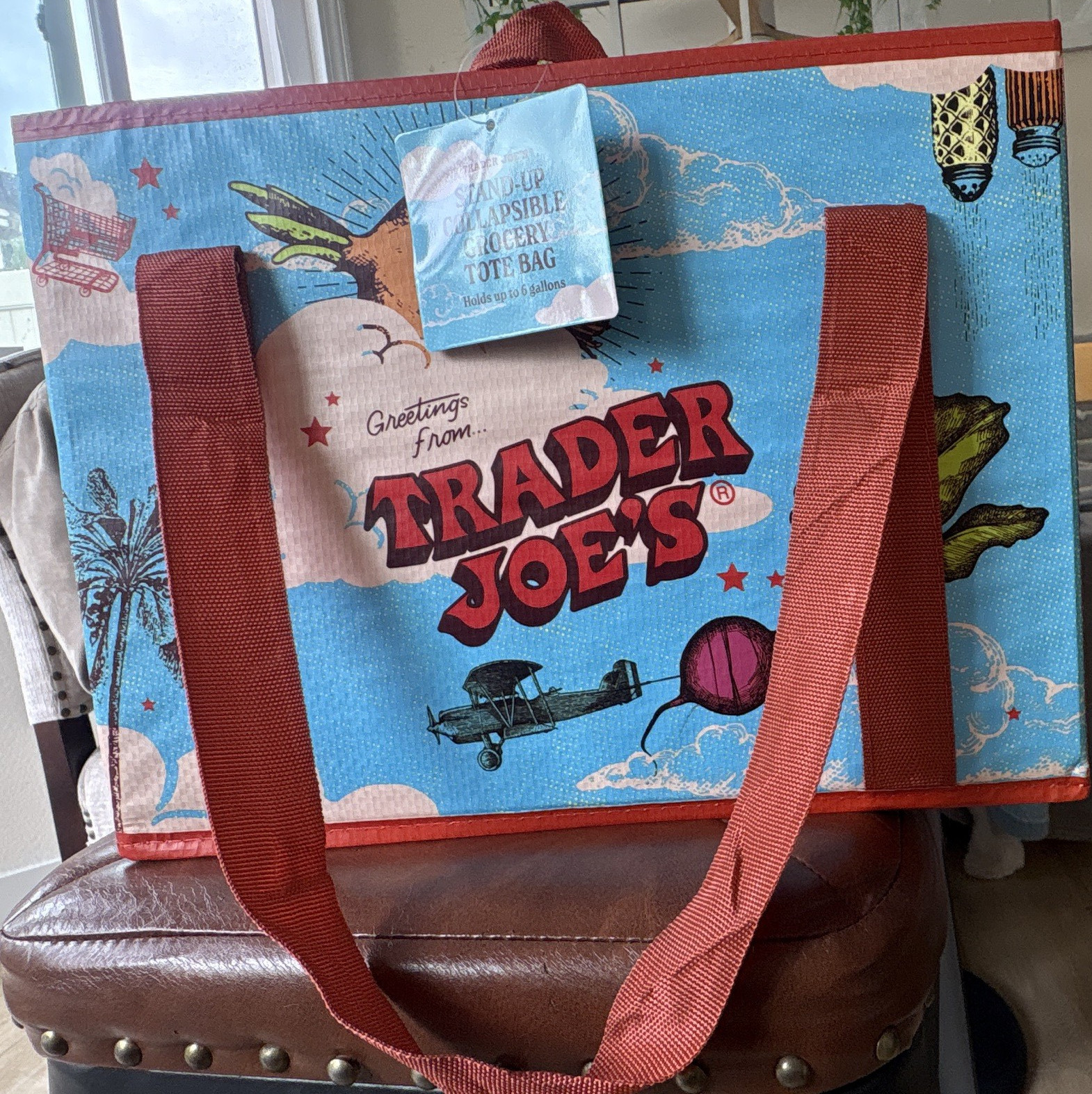 W/SNACKs! 2 Trader Joe’s StandUp Moisture Resistant Foldable Multicolor ToteBags